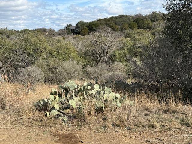 LT 47098 Pawnee TRL, Horseshoe Bay, TX 78657