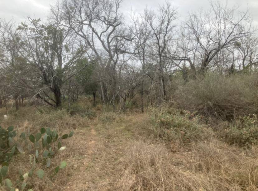 Cedarhill, Granite Shoals, TX 78654