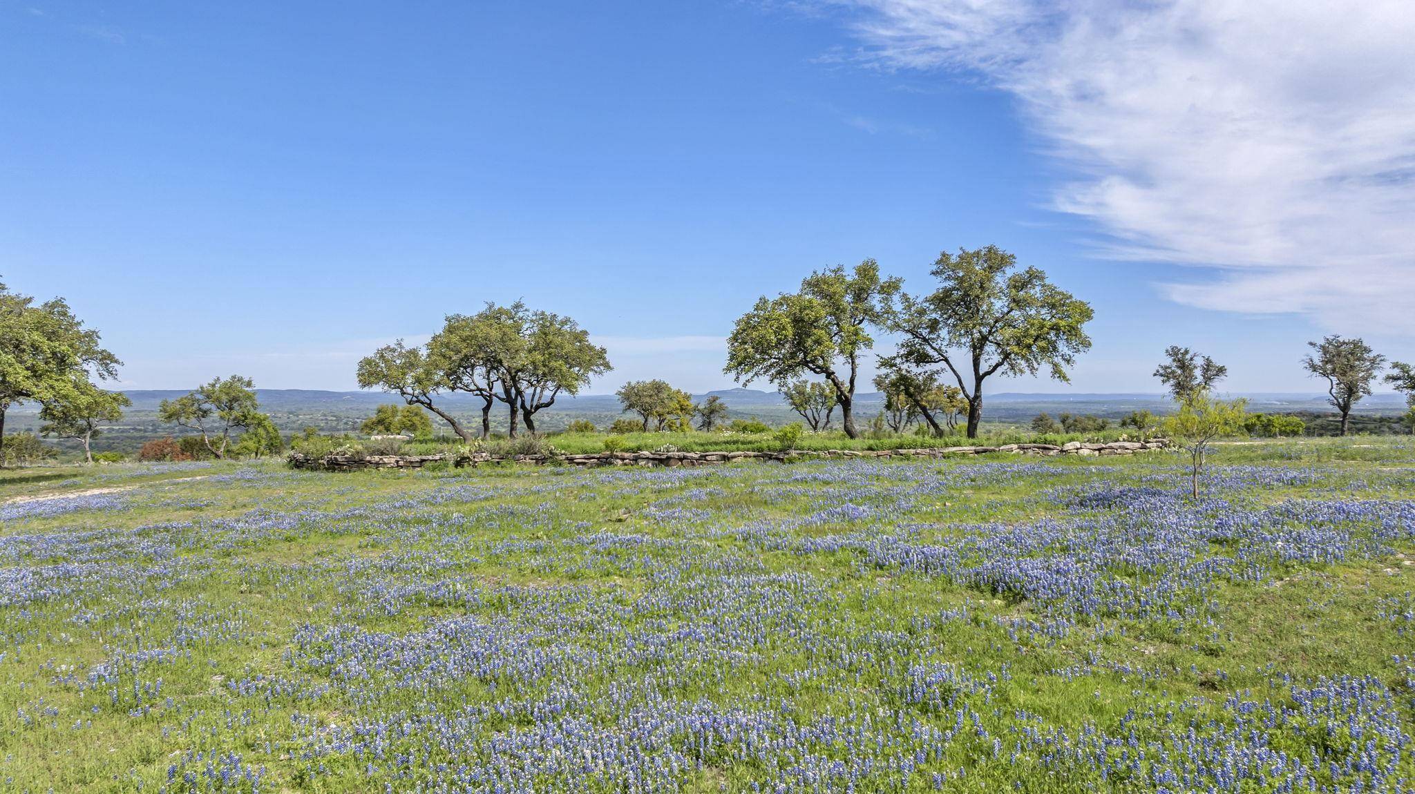 3531 RM 3347 RD, Round Mountain, TX 78663