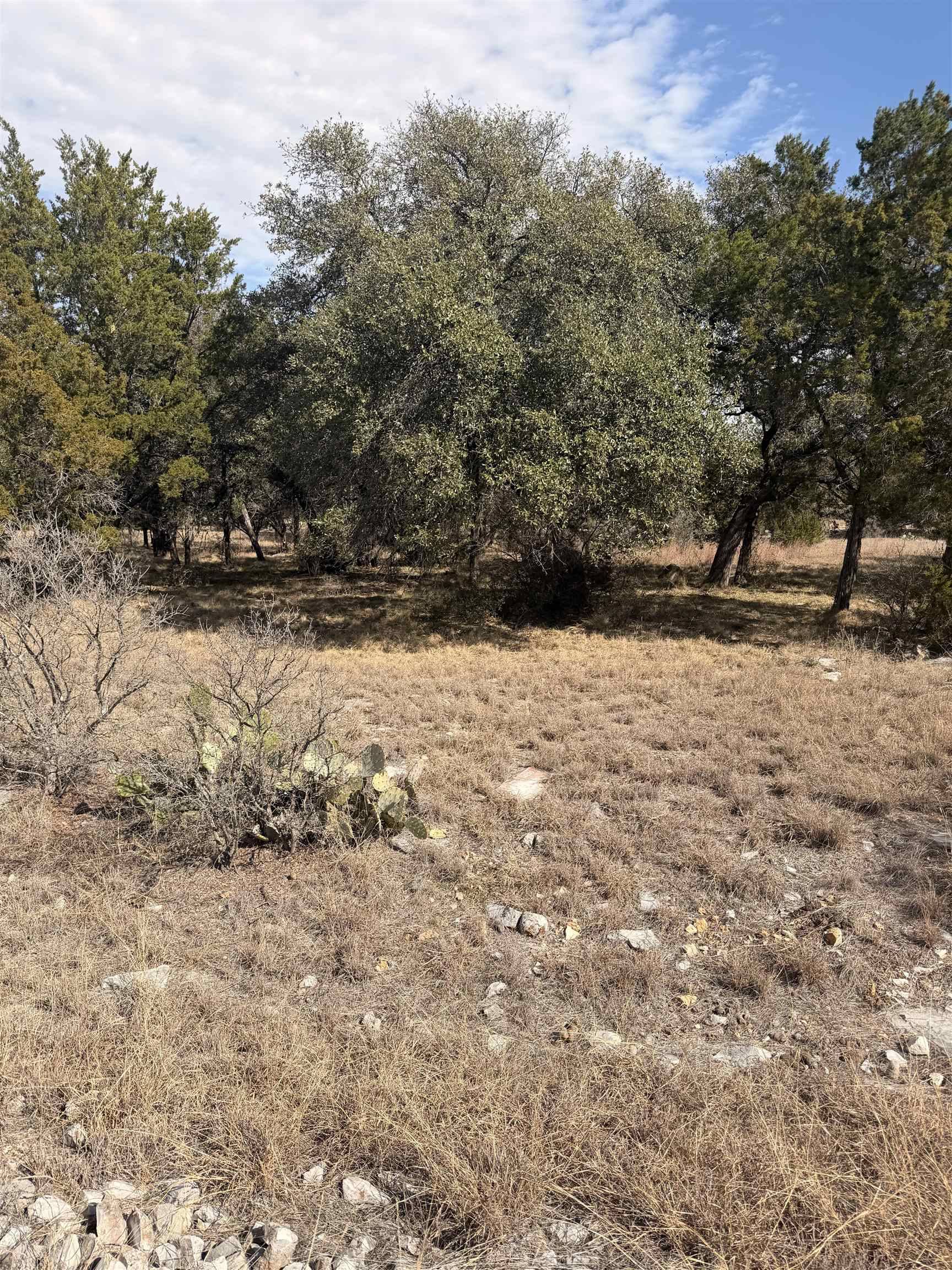 LT 14135 Purple Sage, Horseshoe Bay, TX 78657
