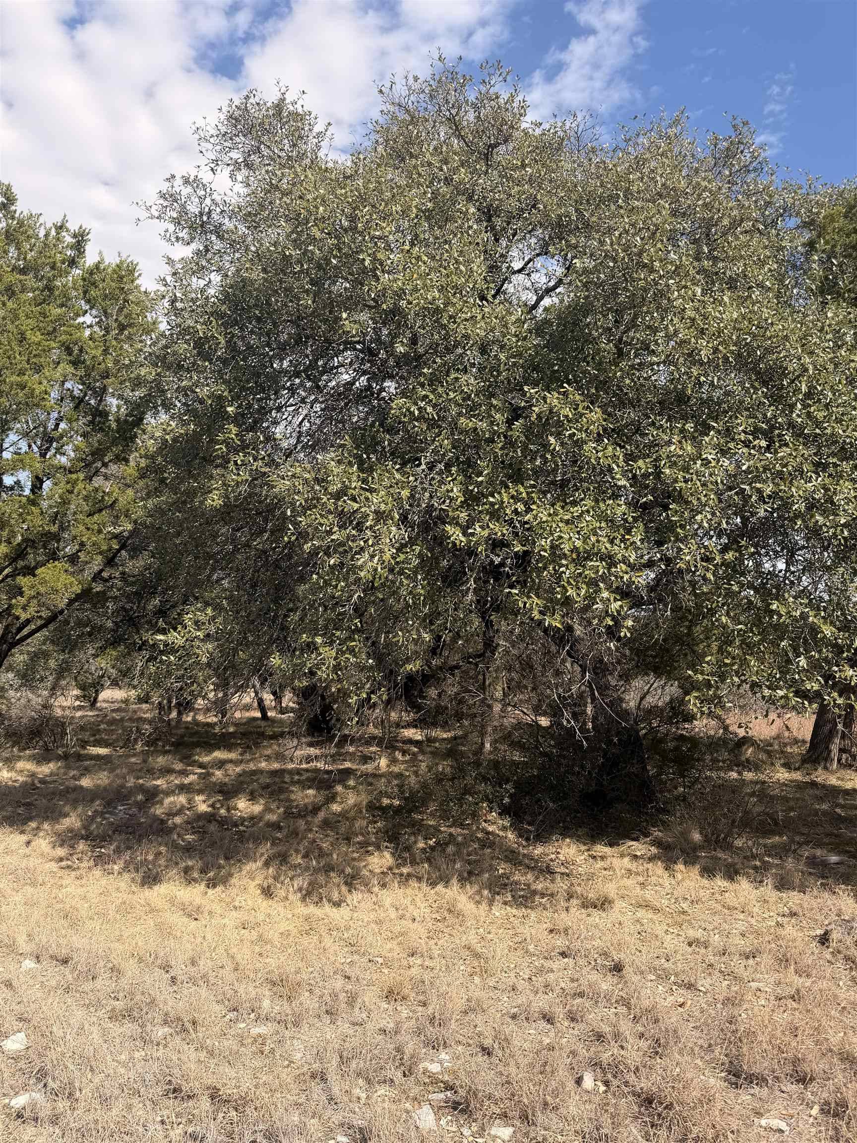 LT 14135 Purple Sage, Horseshoe Bay, TX 78657