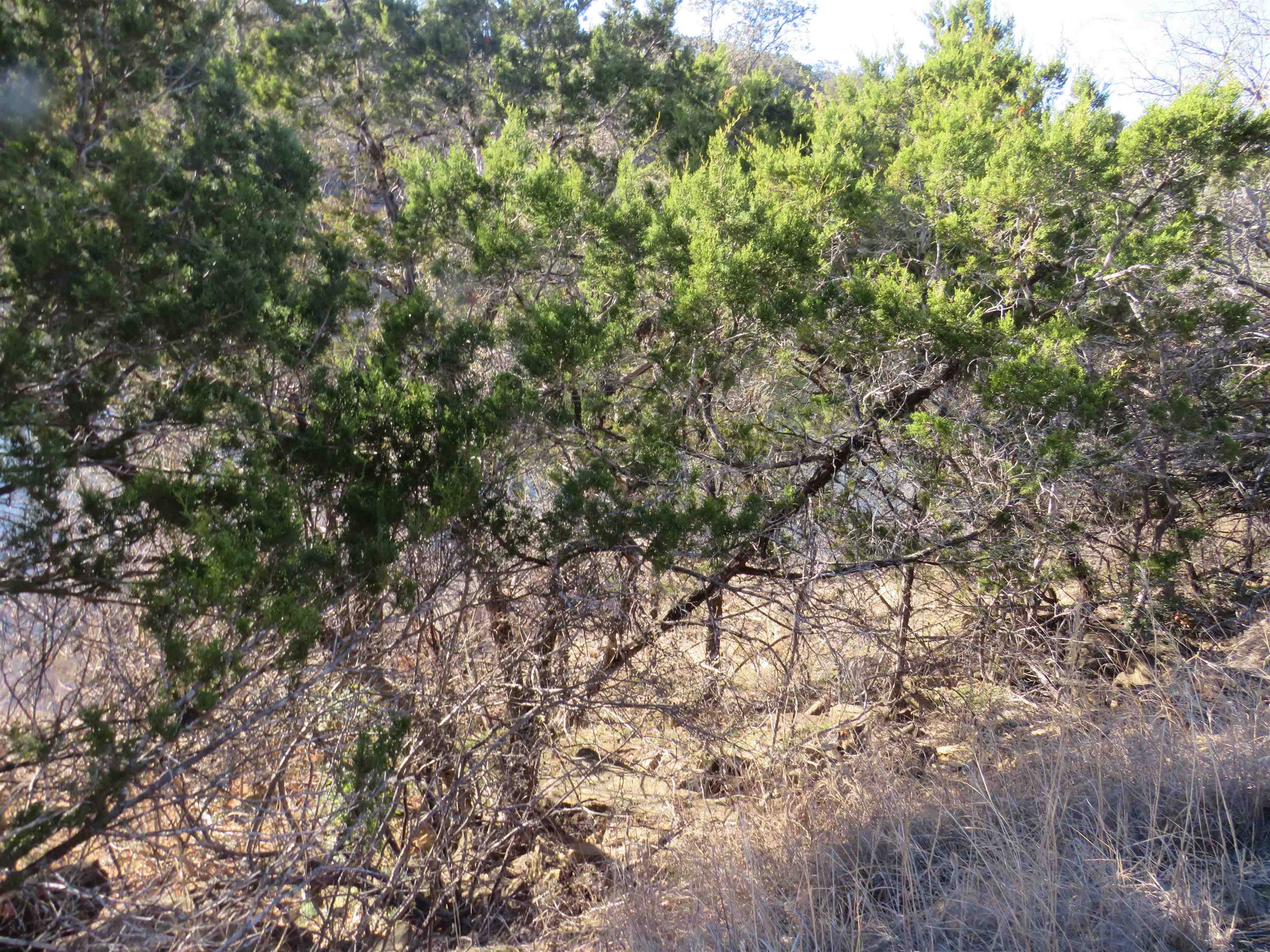 lot 25 SUNSET CLIFF, Burnet, TX 78609