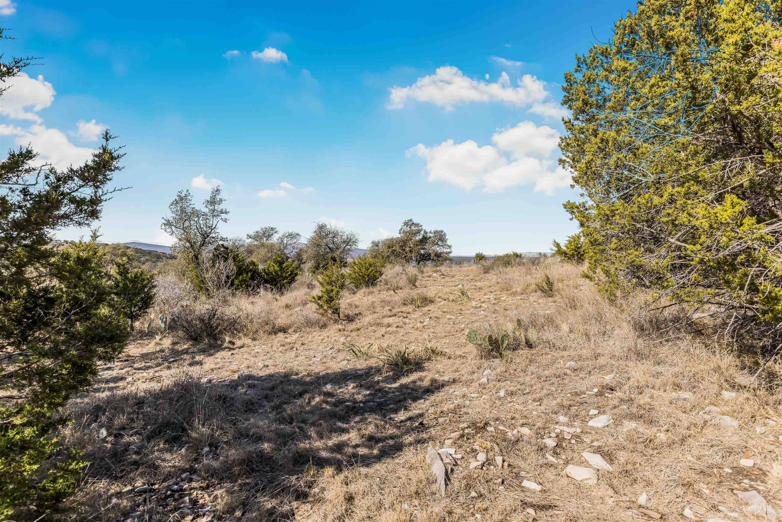 TBD Inksview LN, Kingsland, TX 78639