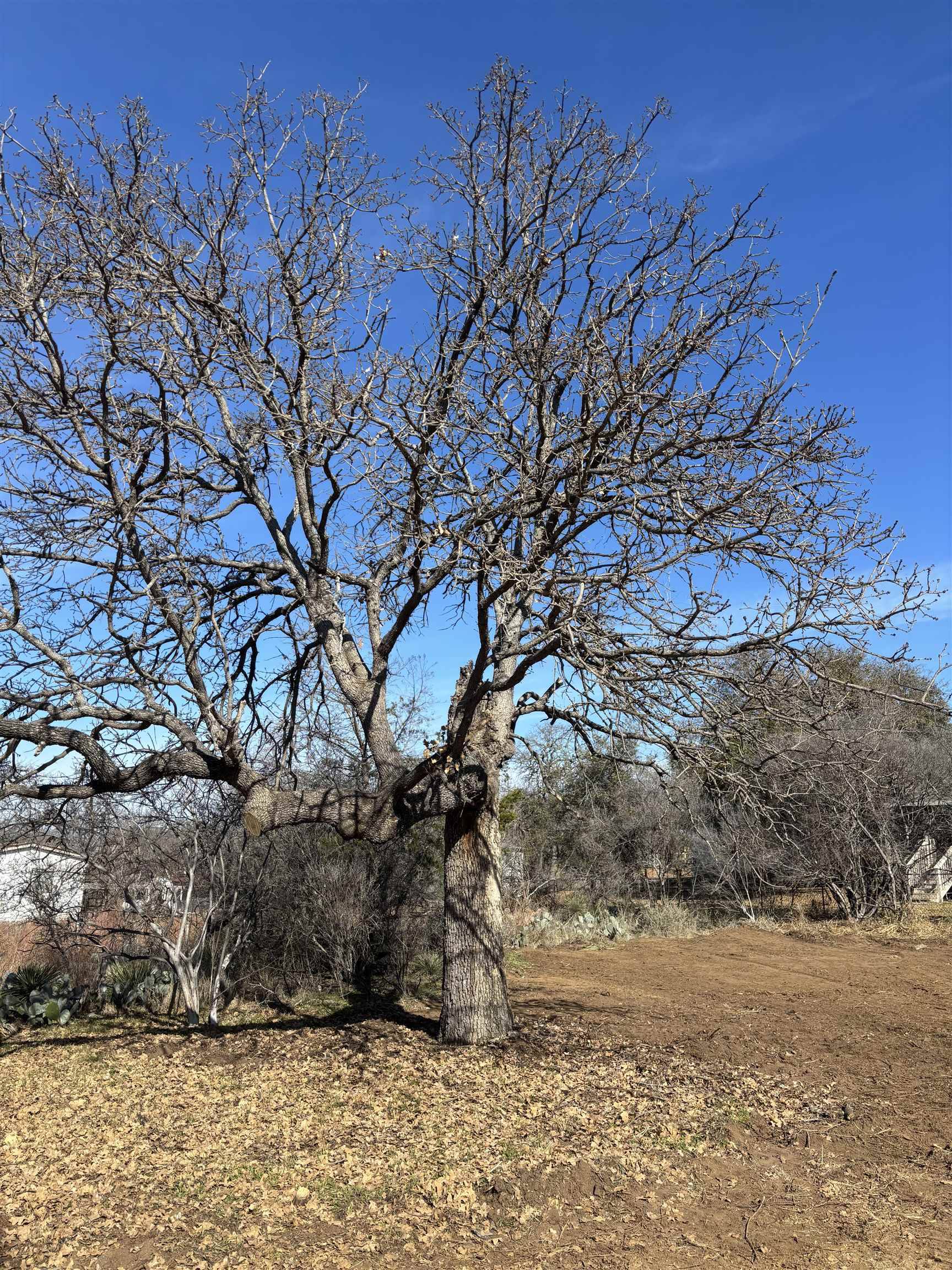 TBD Castleshoals DR, Granite Shoals, TX 78654