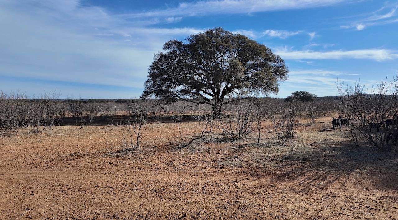 CR 434, Rochelle, TX 76872