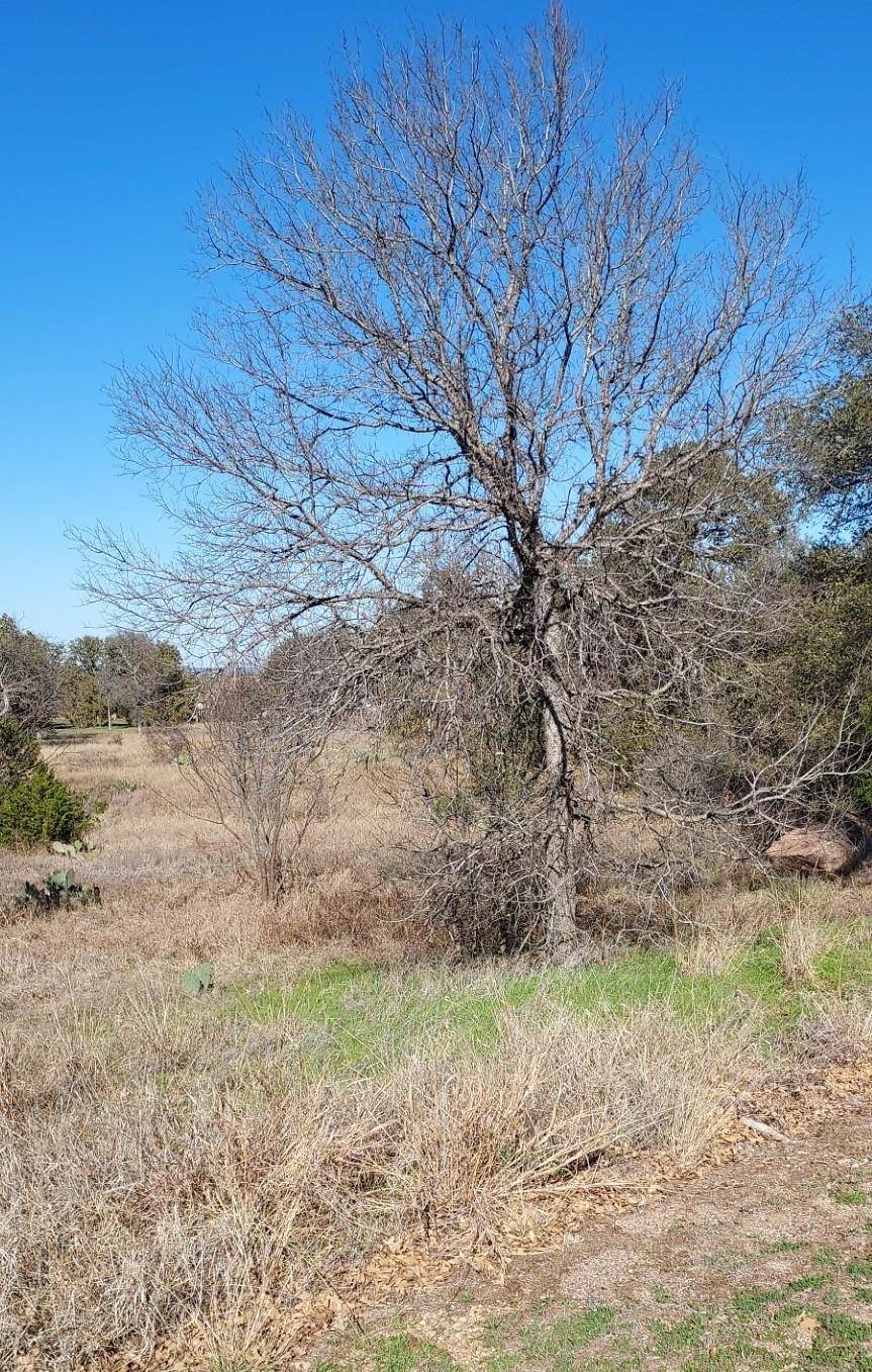 Lot 50 Pristine Pass, Buchanan Dam, TX 78609