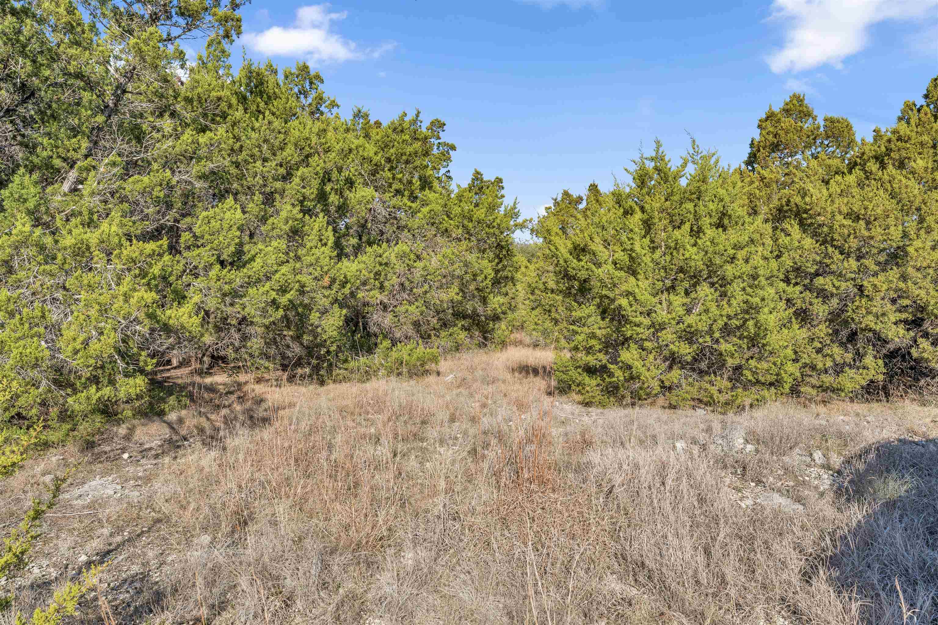 8614 Bar K Ranch RD, Lago Vista, TX 78645