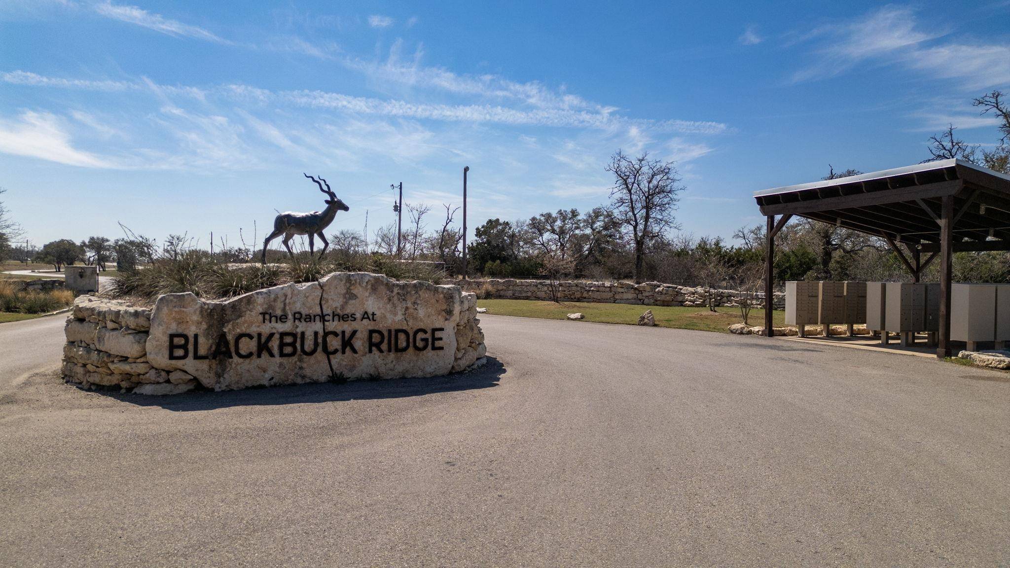 TBD Blackbuck Ridge Dr. Lot 181, Lampasas, TX 76550