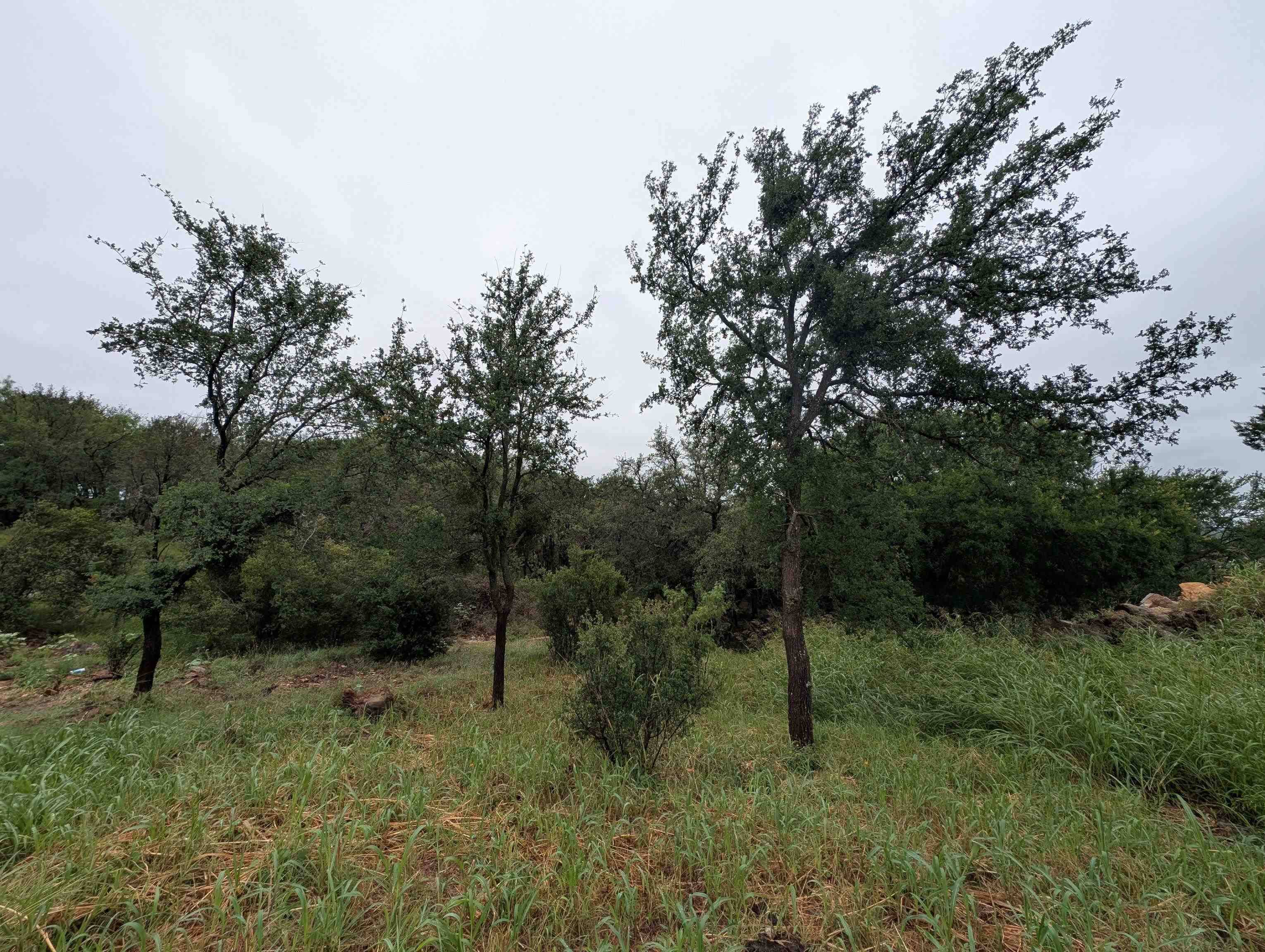 1106 Monterrey Oak Circle, Marble Falls, TX 78654