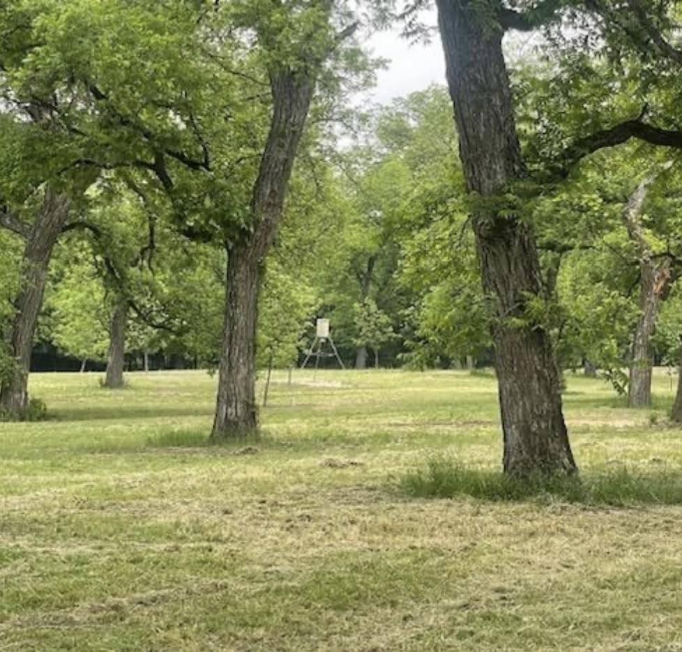 708 W Gunter ST, San Saba, TX 76871
