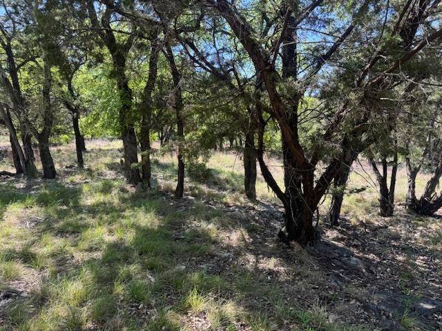 600 Silvermane ST, Horseshoe Bay, TX 78657