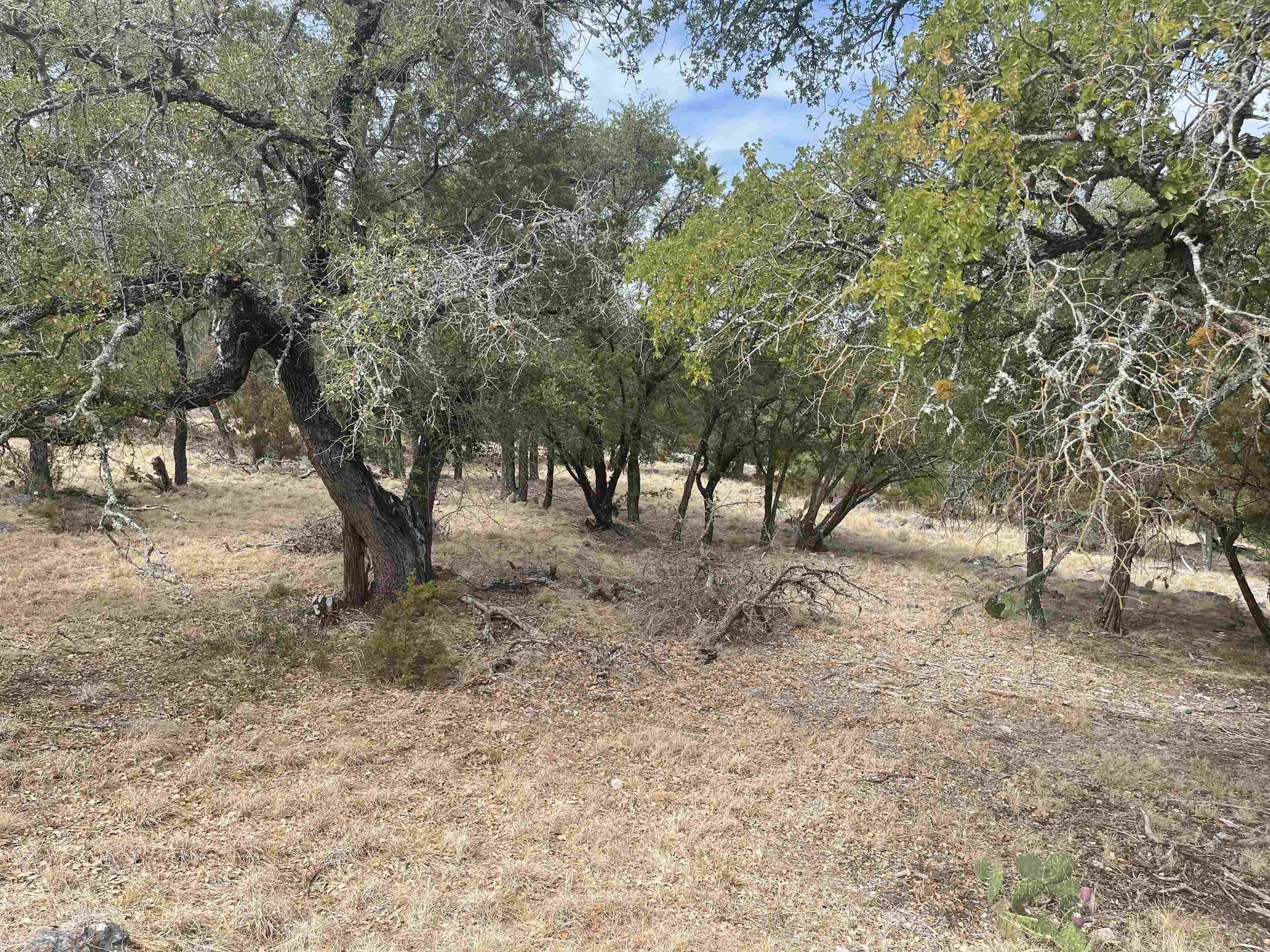 600 Silvermane ST, Horseshoe Bay, TX 78657