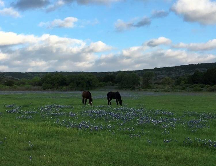 Escalar DR, Llano, TX 78643
