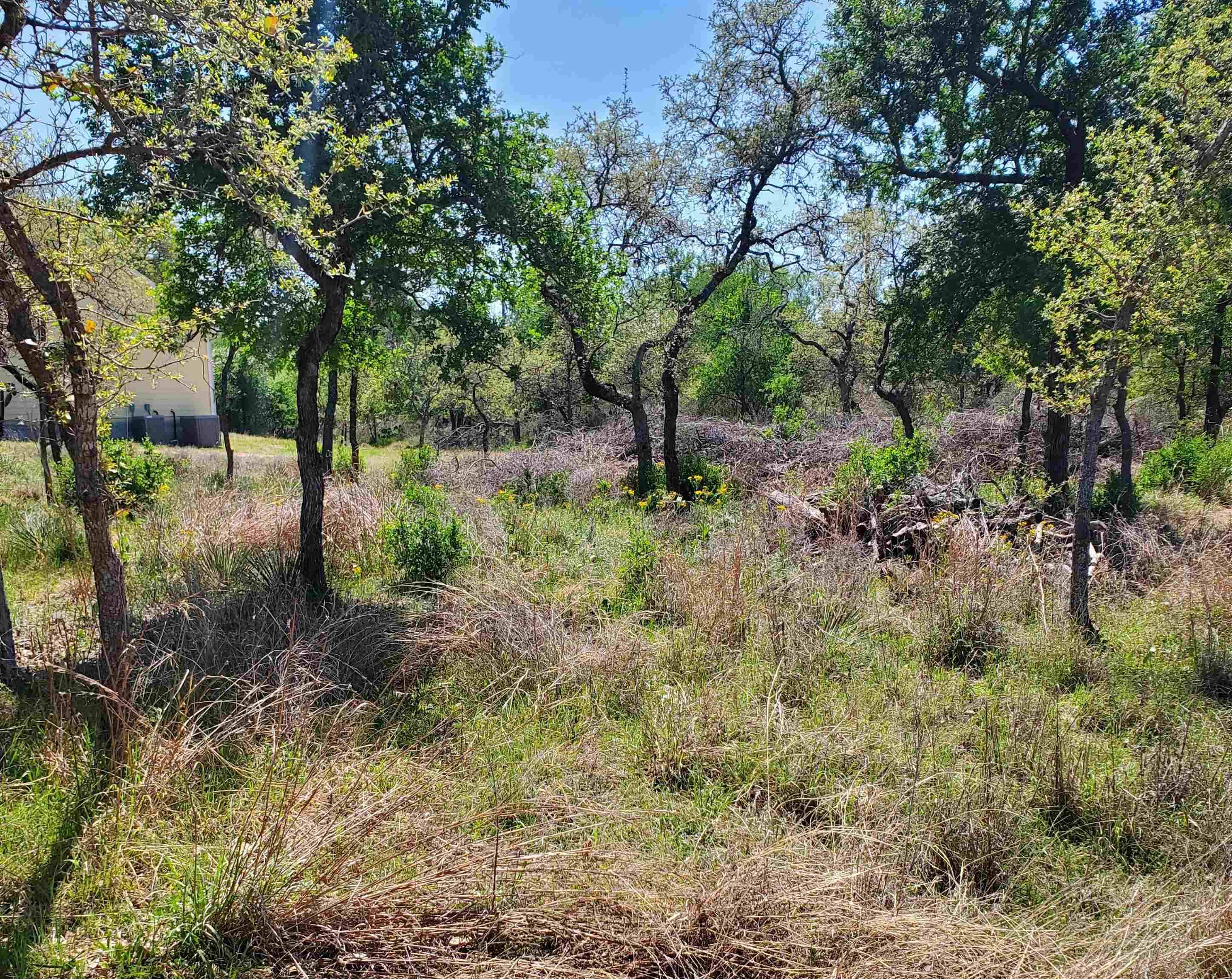 Lot 459-B Oakwood DR, Granite Shoals, TX 78654