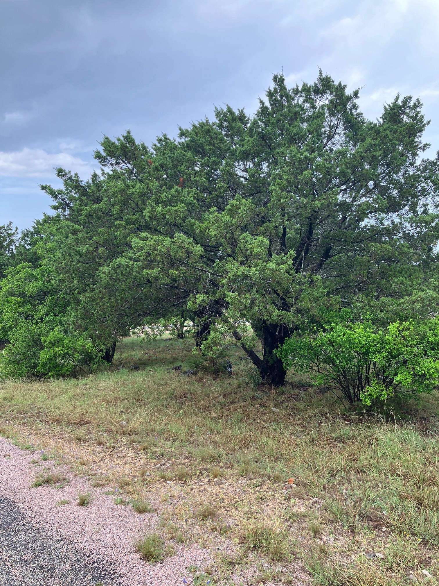 2005 Brazos, Horseshoe Bay, TX 78657