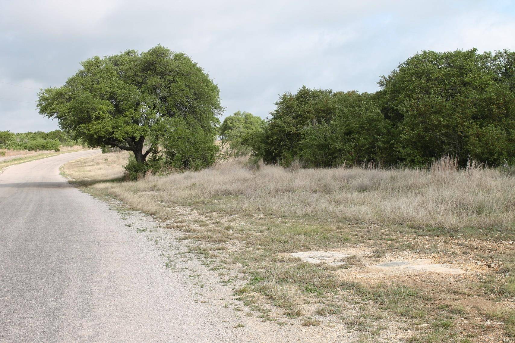 Saddle Ridge Dr. DR, Bertram, TX 78605