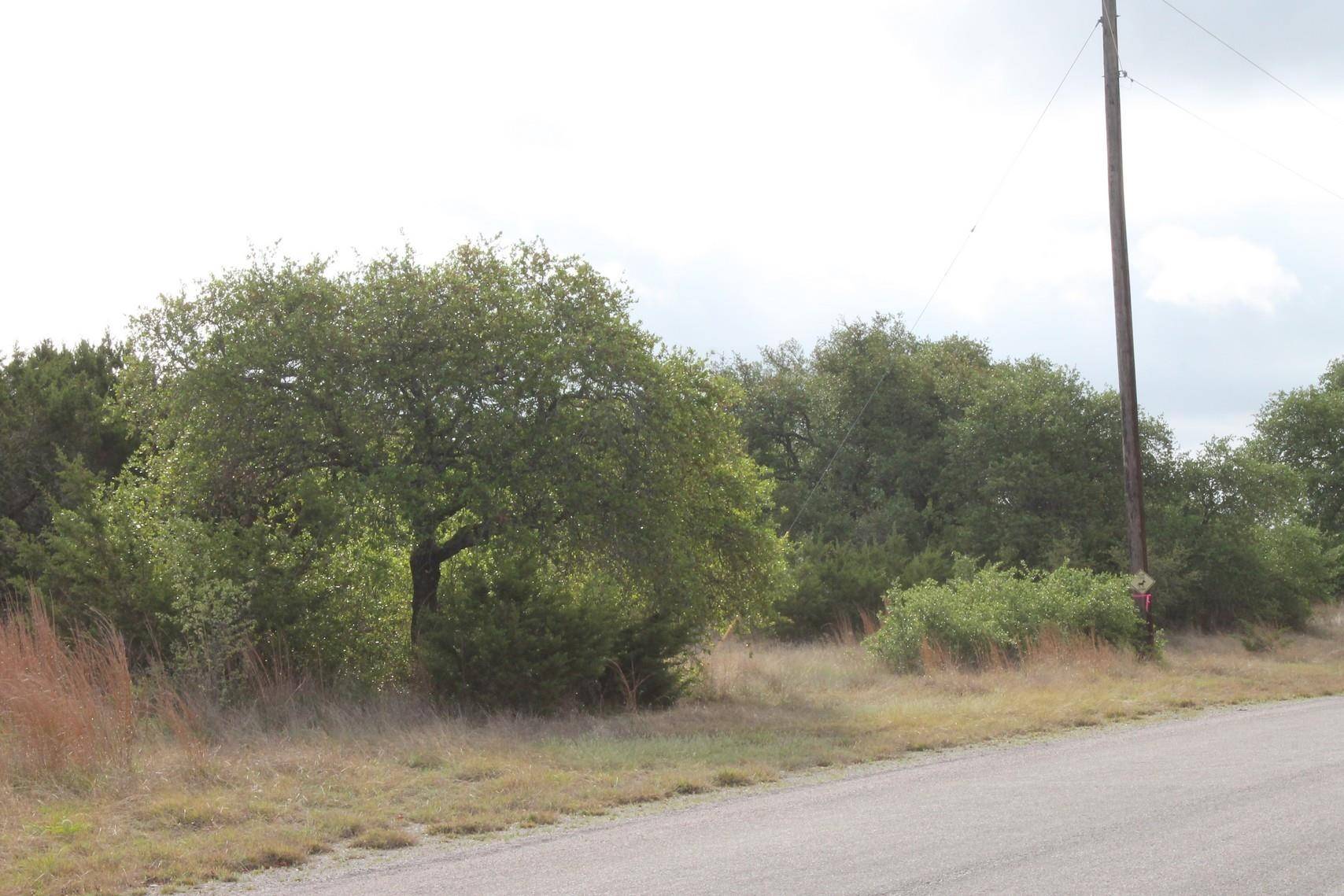 Saddle Ridge Dr. DR, Bertram, TX 78605