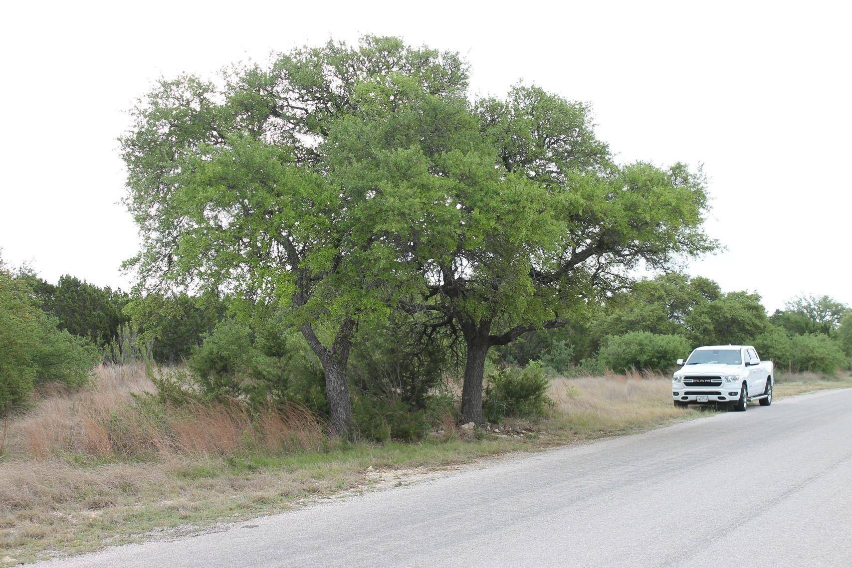 Saddle Ridge Dr. DR, Bertram, TX 78605