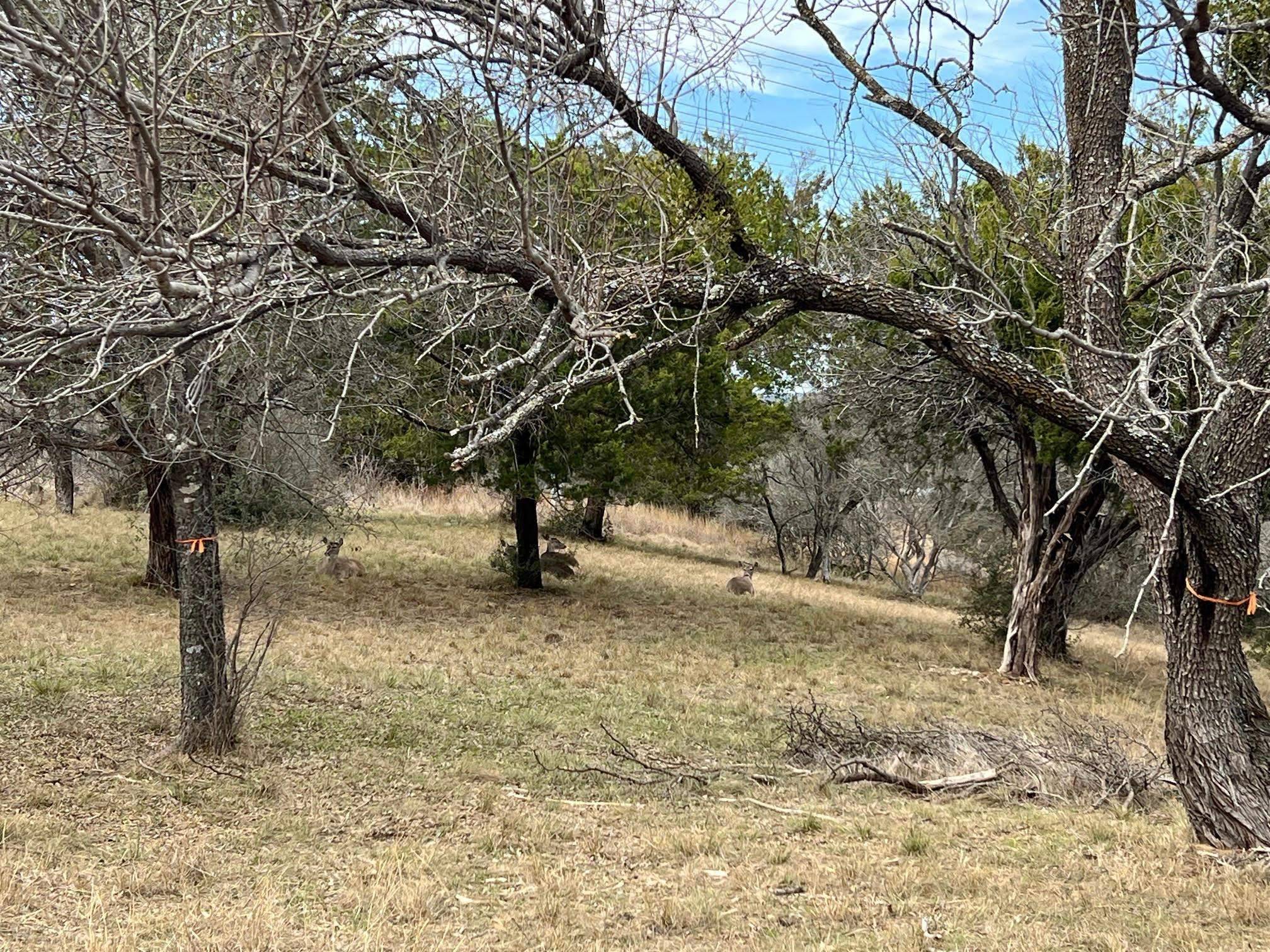 Duplex Lot 8002 Hi Circle West, Horseshoe Bay, TX 78657-0000
