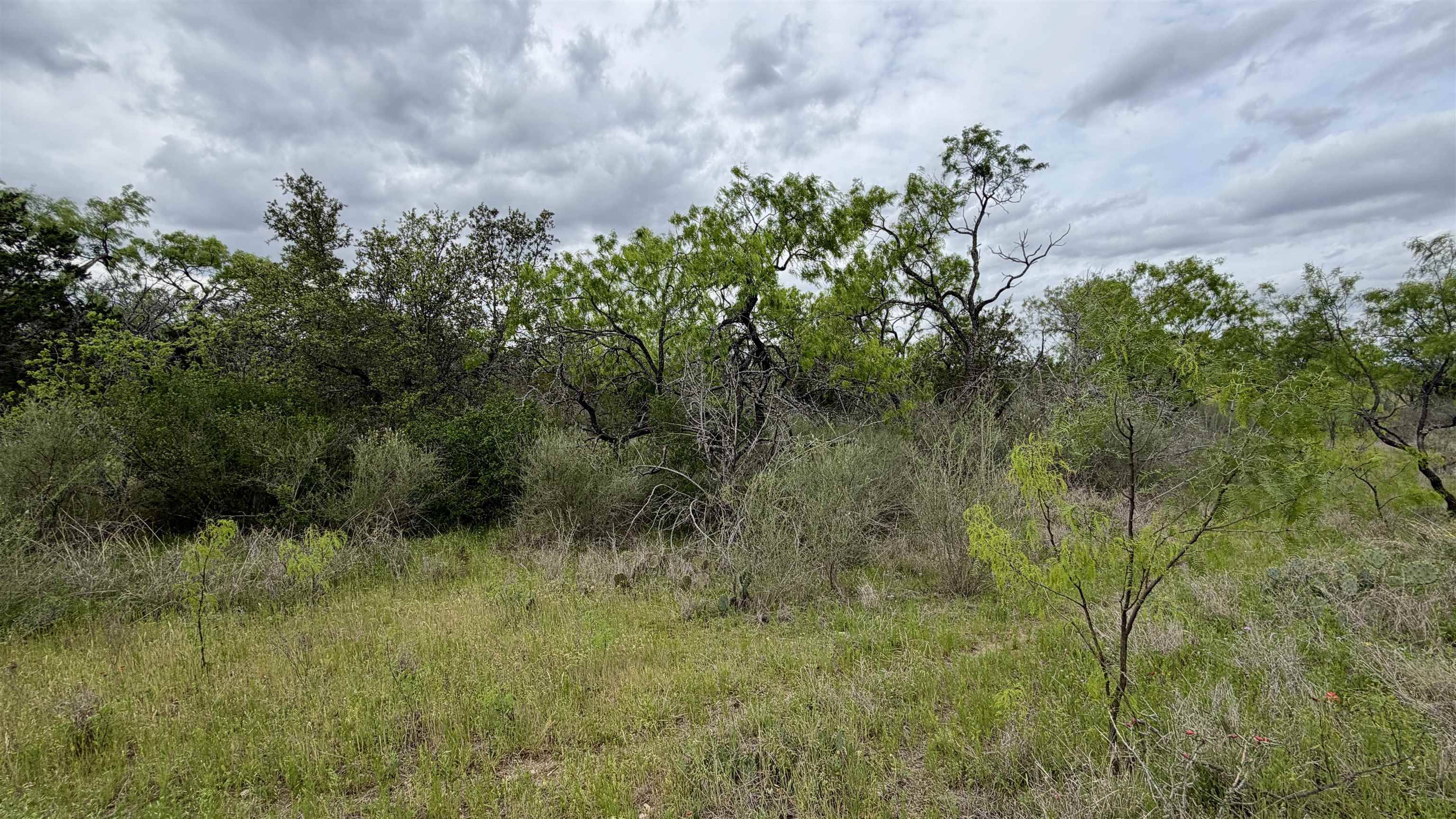 LT 44 Lewis LN, Kingsland, TX 78639