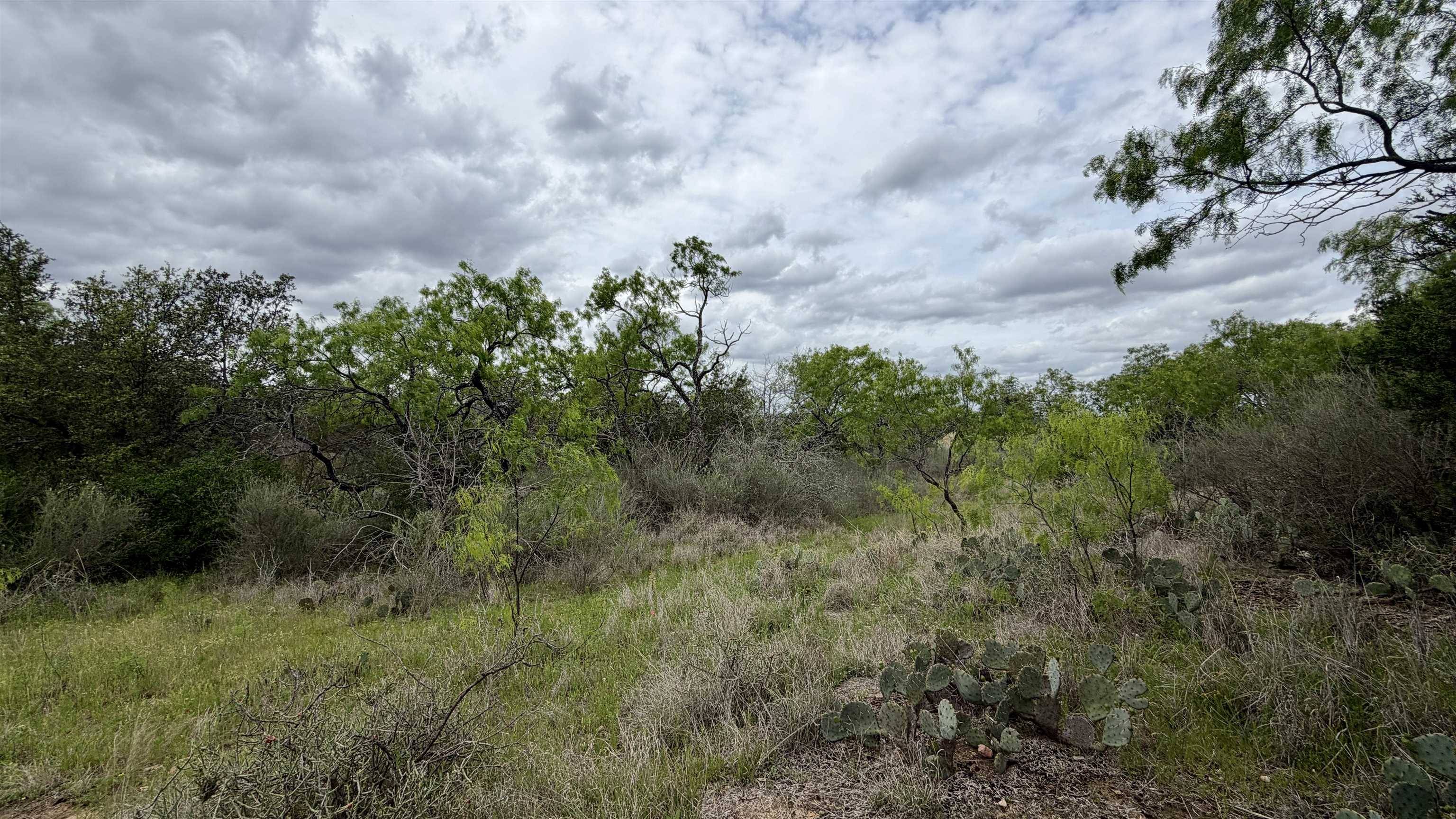 LT 44 Lewis LN, Kingsland, TX 78639