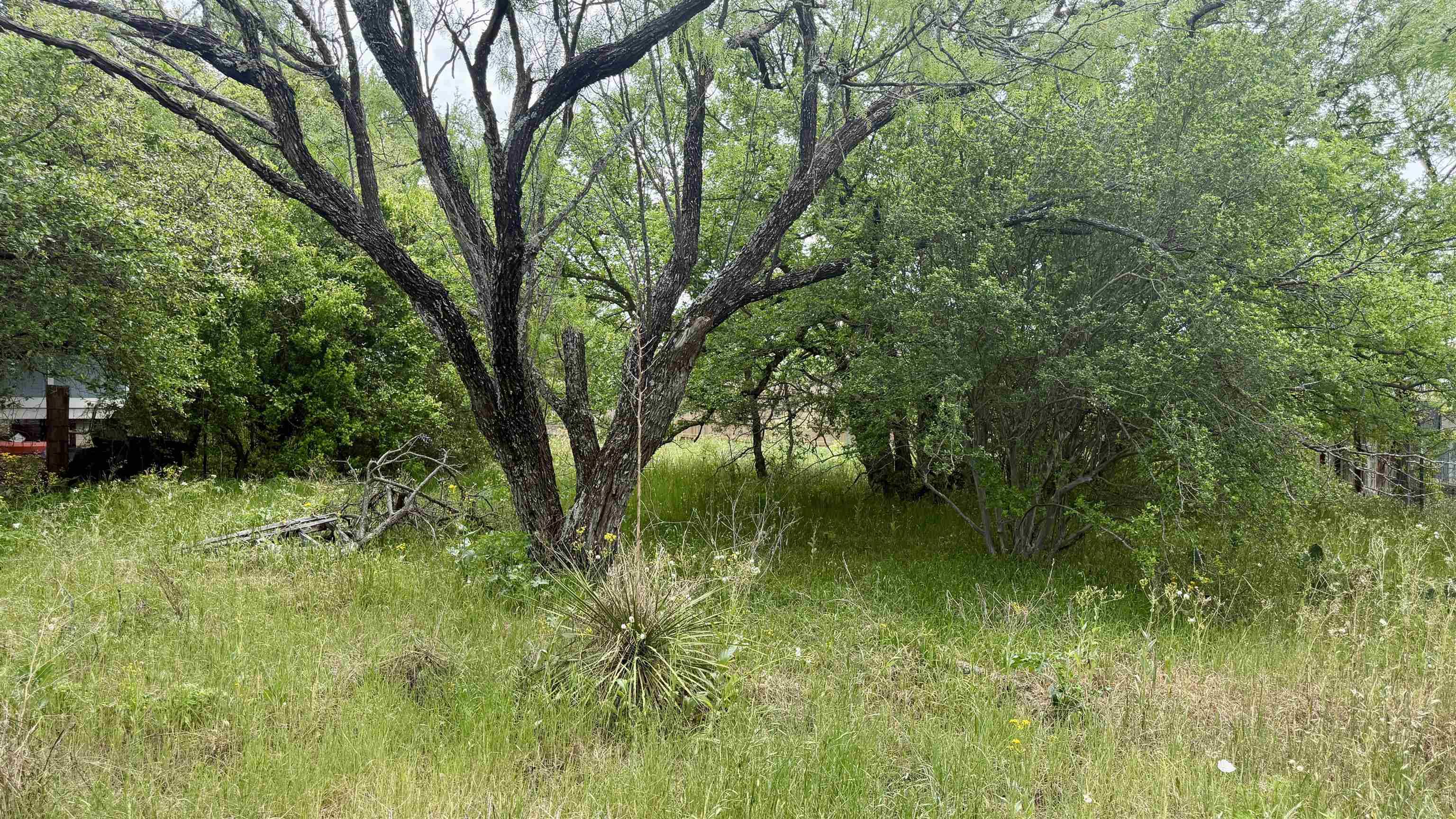LT 129 Fawn ST, Kingsland, TX 78639