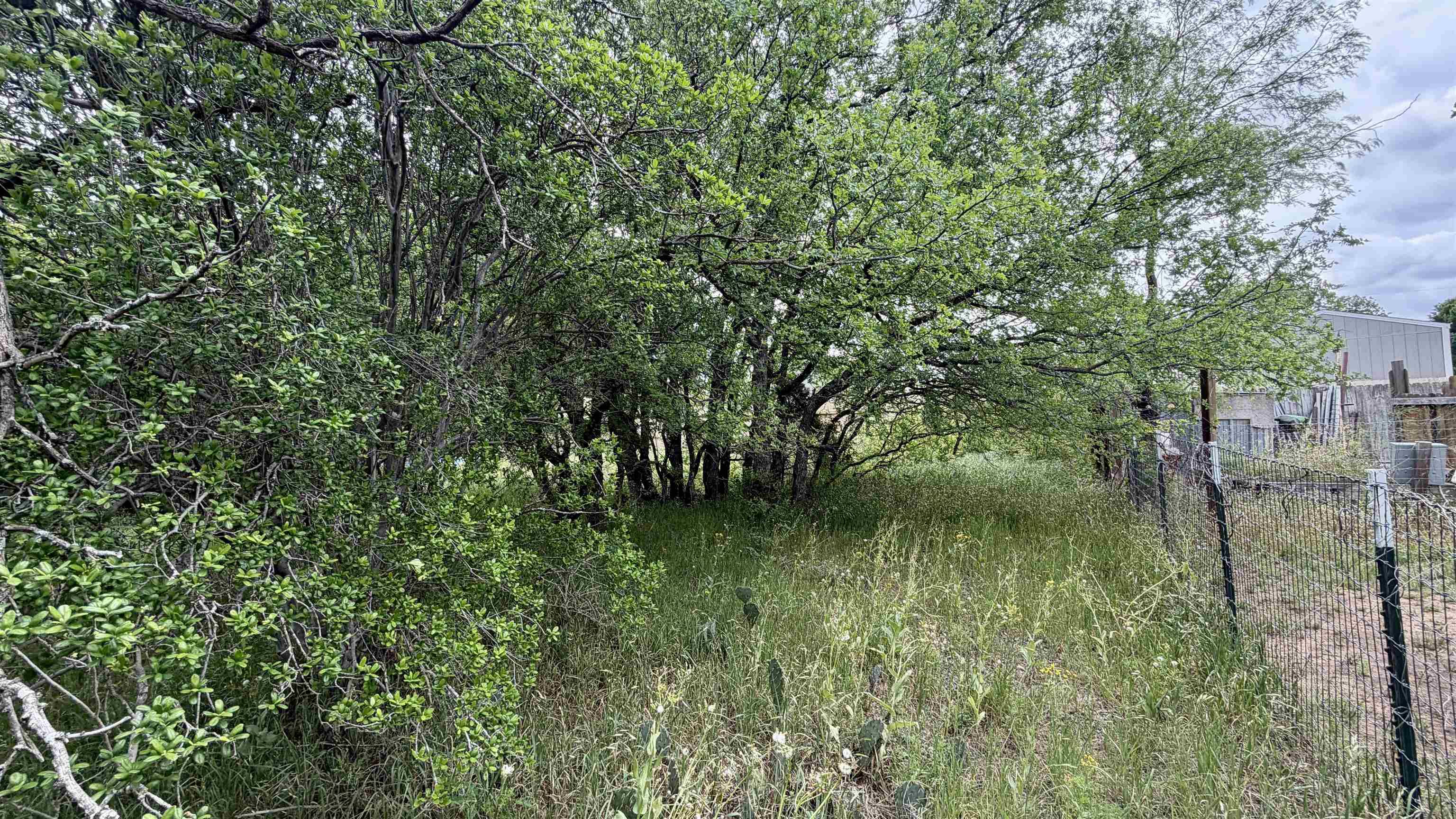 LT 129 Fawn ST, Kingsland, TX 78639