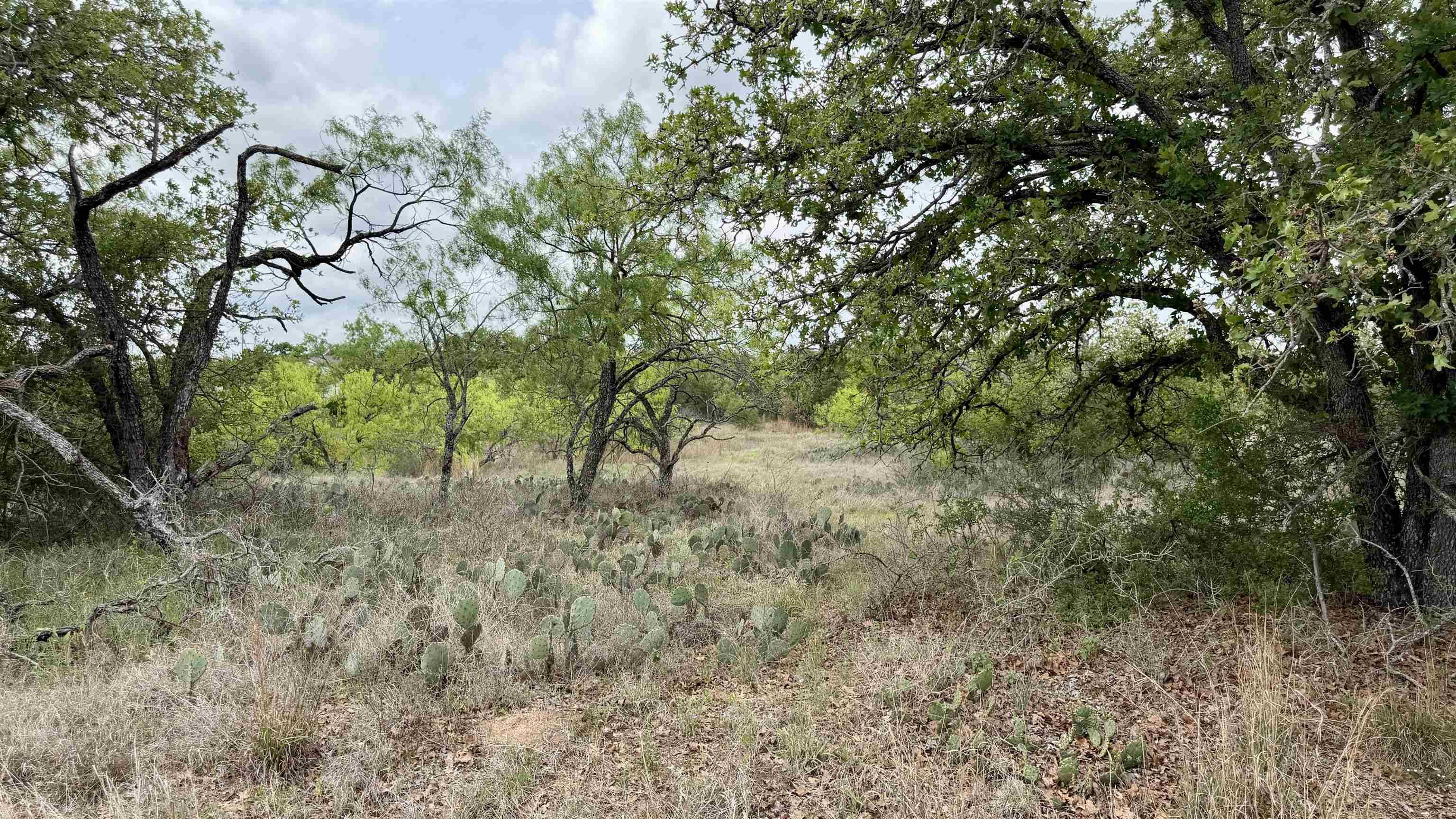 Lot 104 Ridgemont, Kingsland, TX 78639
