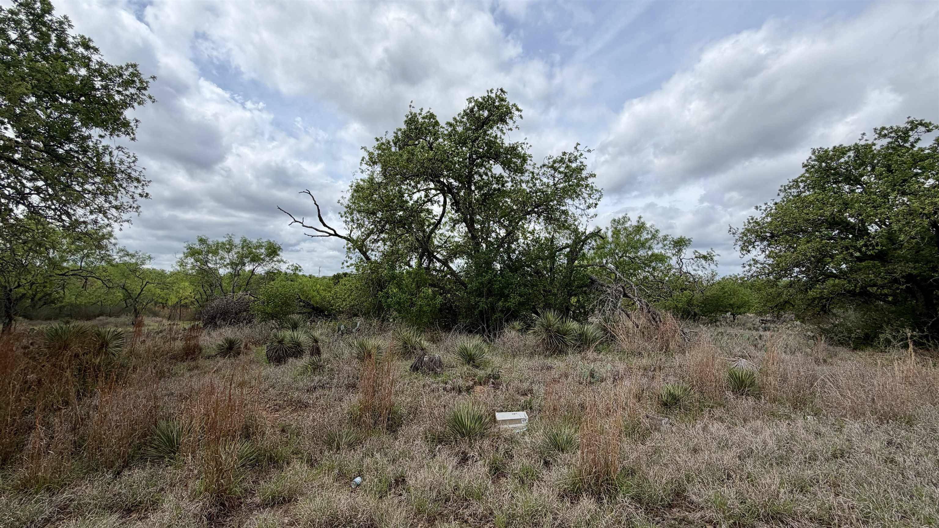Lot 105 Ridgemont, Kingsland, TX 78639