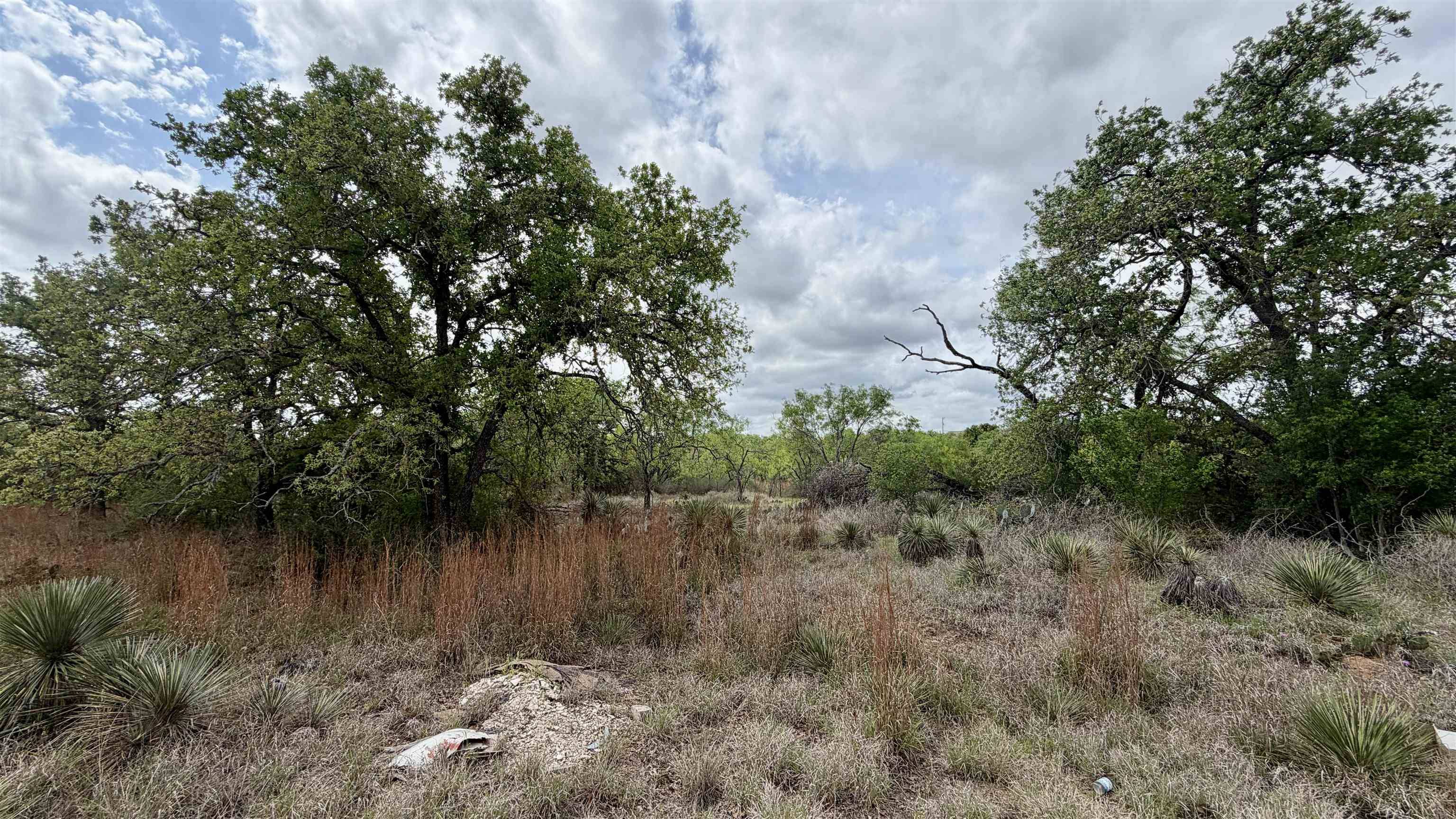 Lot 105 Ridgemont, Kingsland, TX 78639