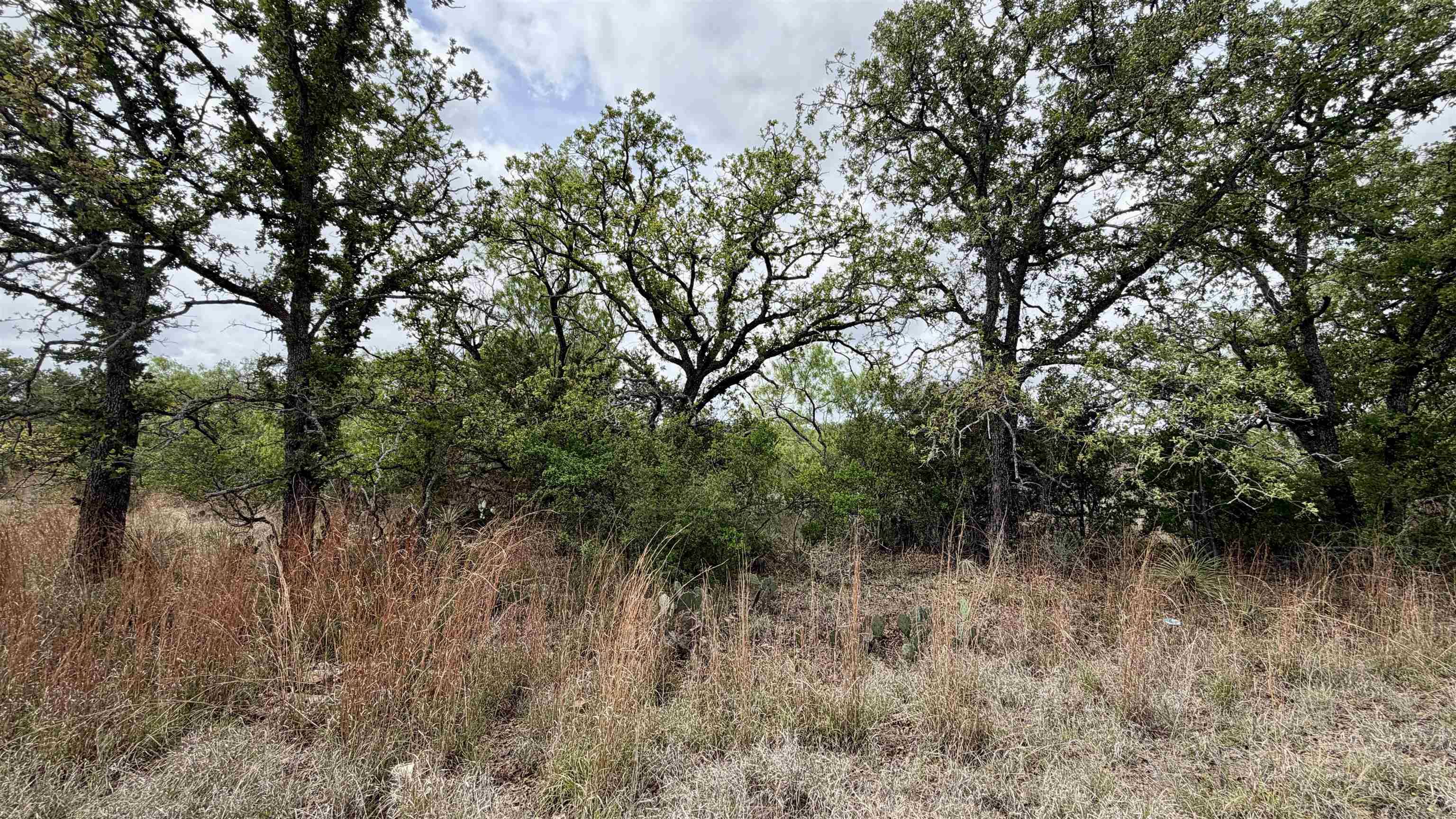 Lot 105 Ridgemont, Kingsland, TX 78639