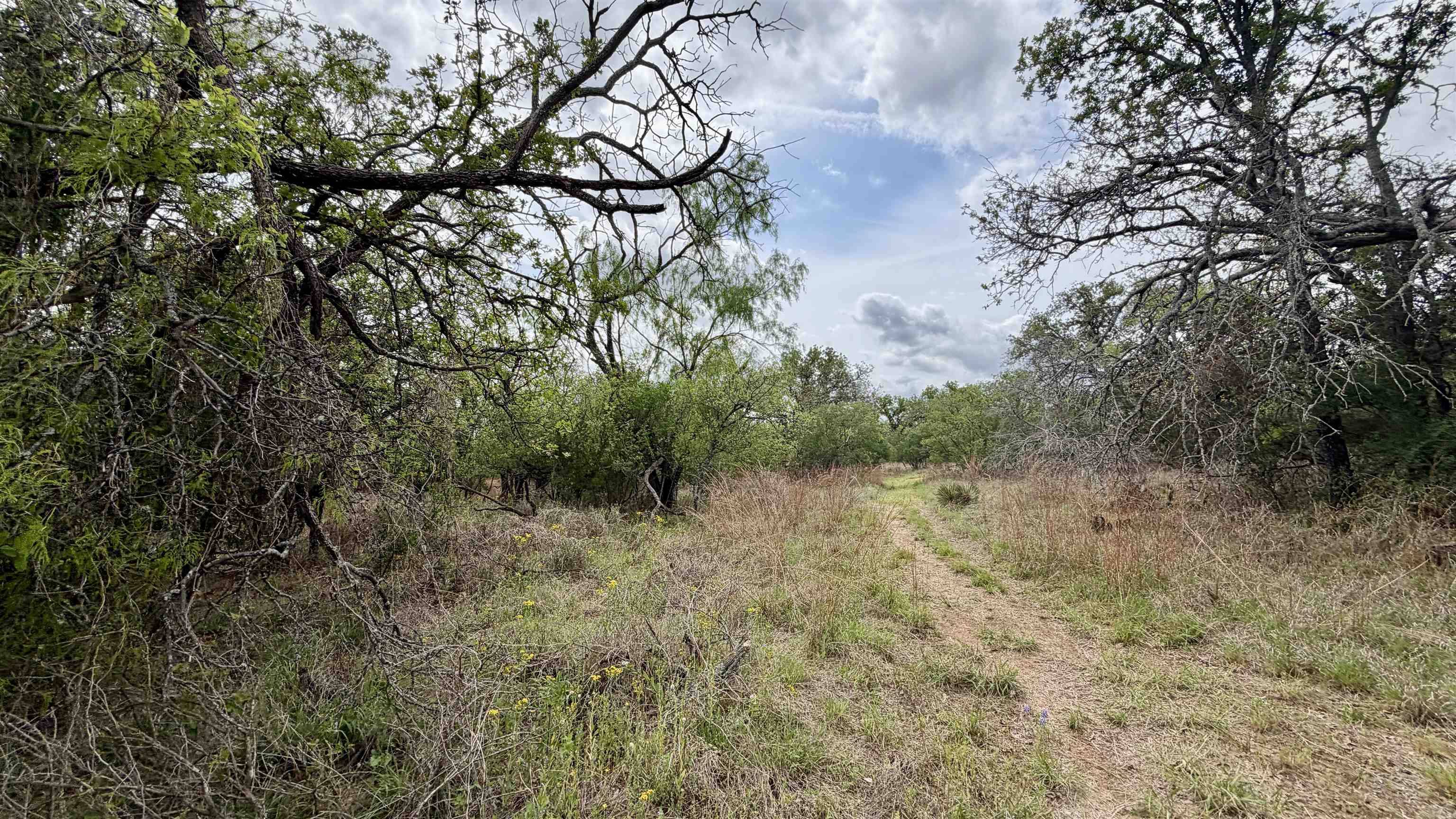 Lot 110 Ridgemont, Kingsland, TX 78639