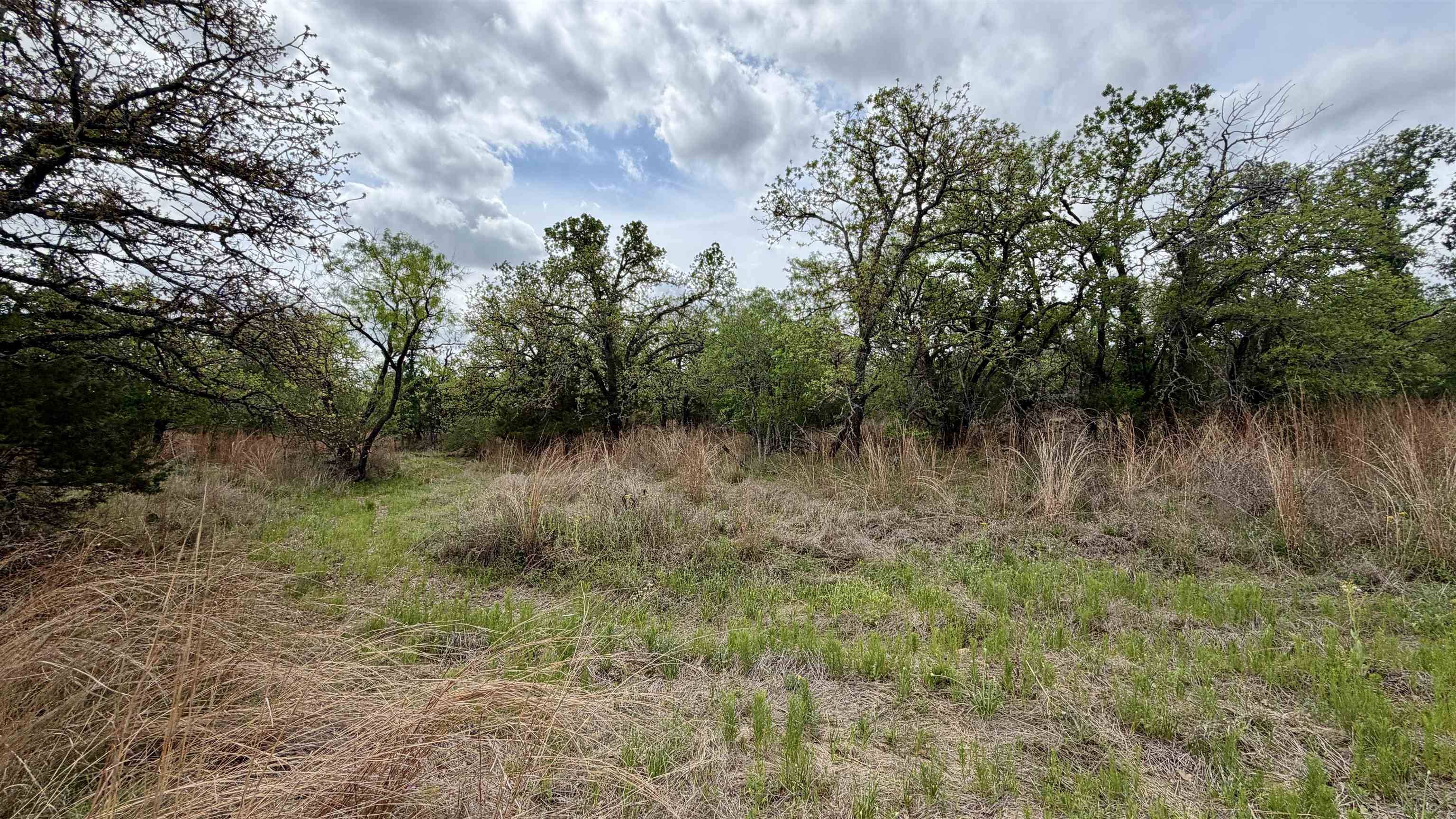 Lot 110 Ridgemont, Kingsland, TX 78639