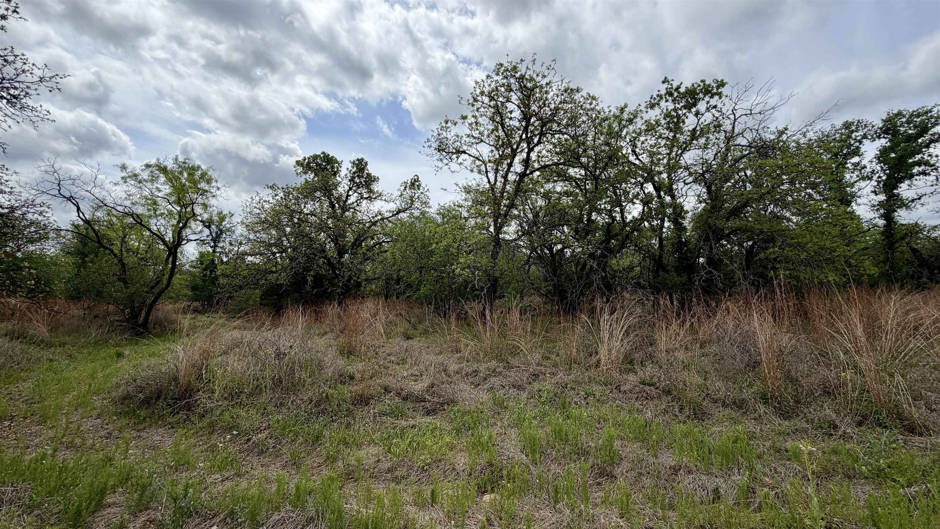 Lot 110 Ridgemont, Kingsland, TX 78639