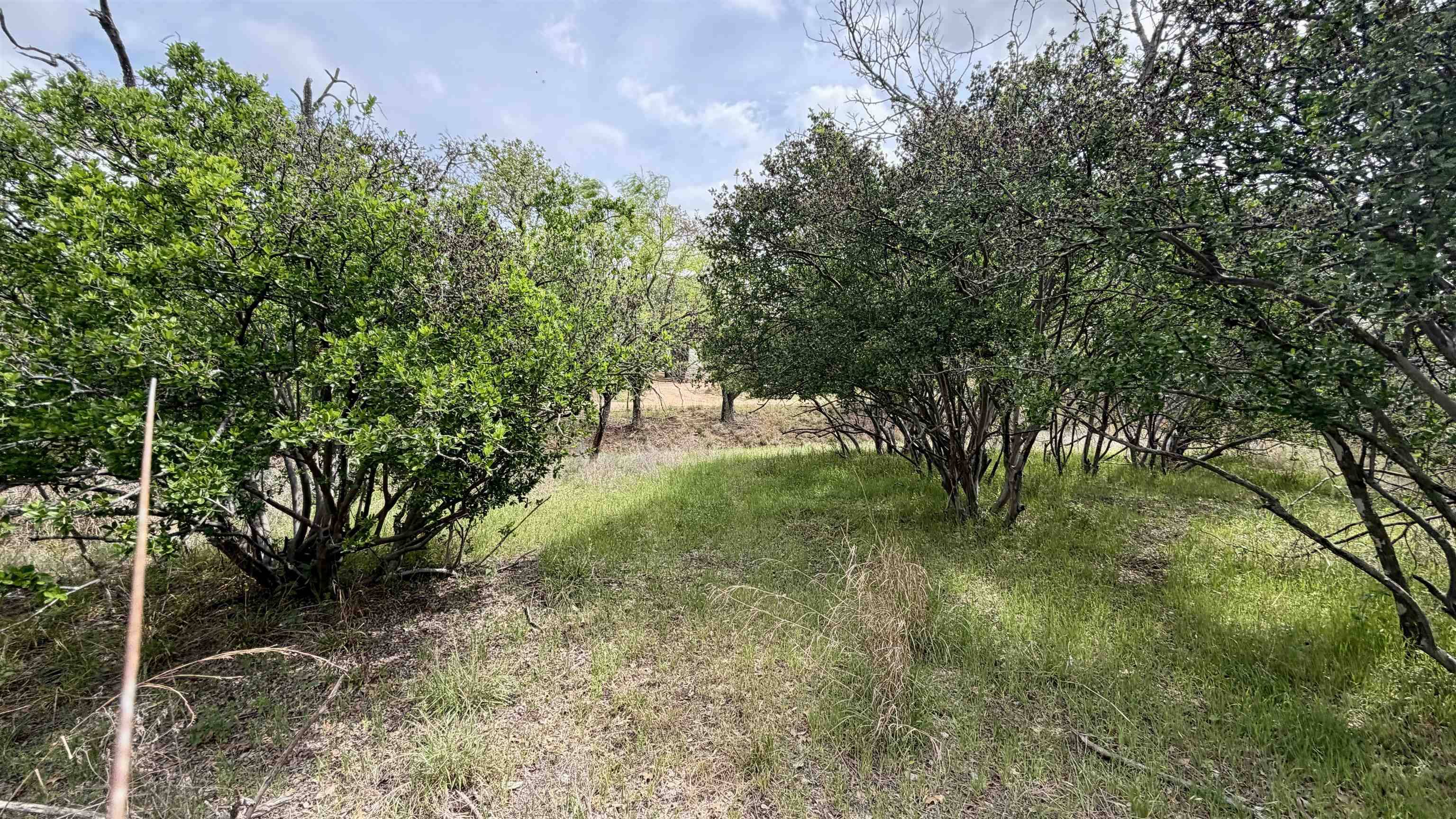 Lot 111 Ridgemont, Kingsland, TX 78639