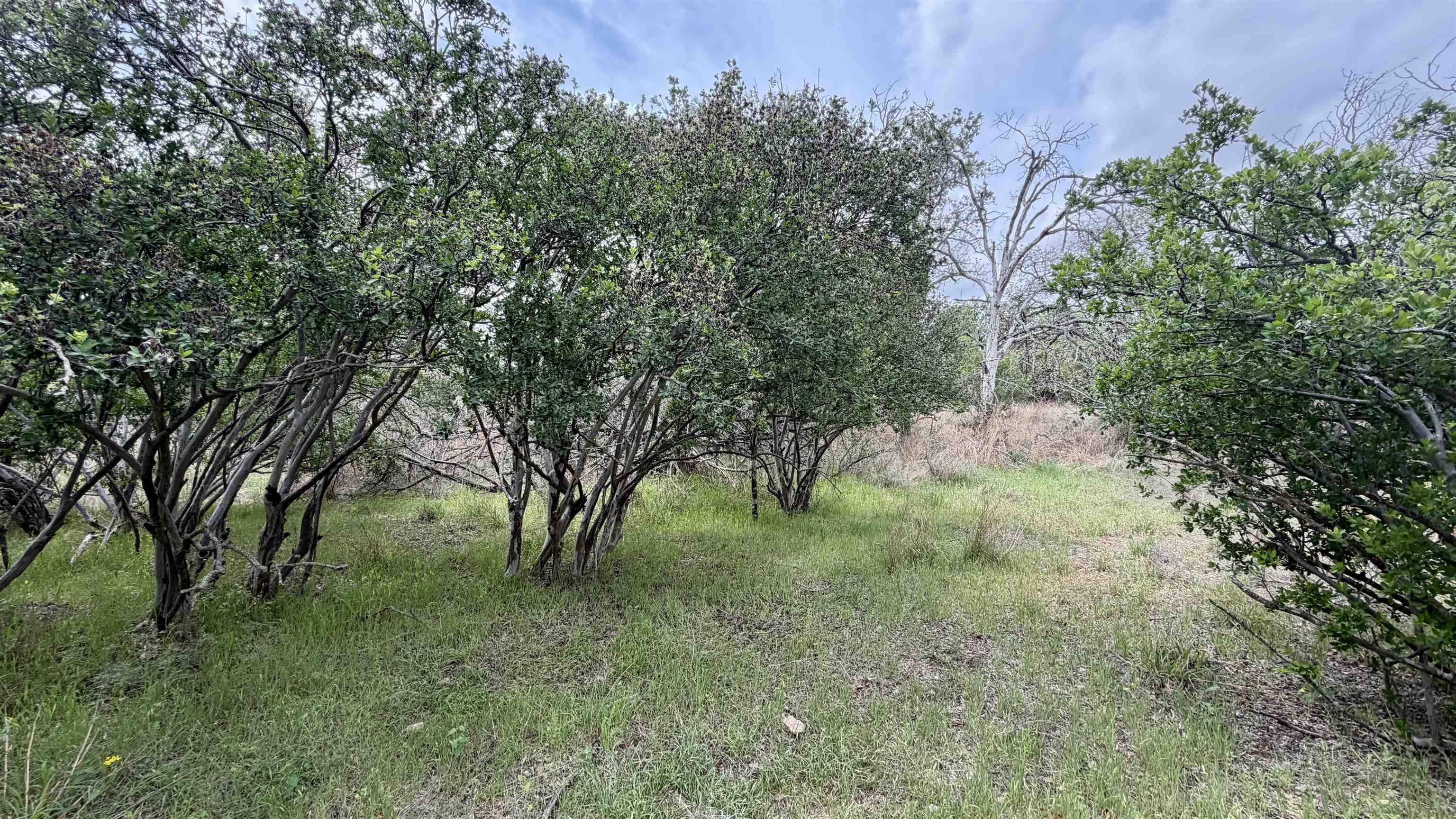 Lot 111 Ridgemont, Kingsland, TX 78639