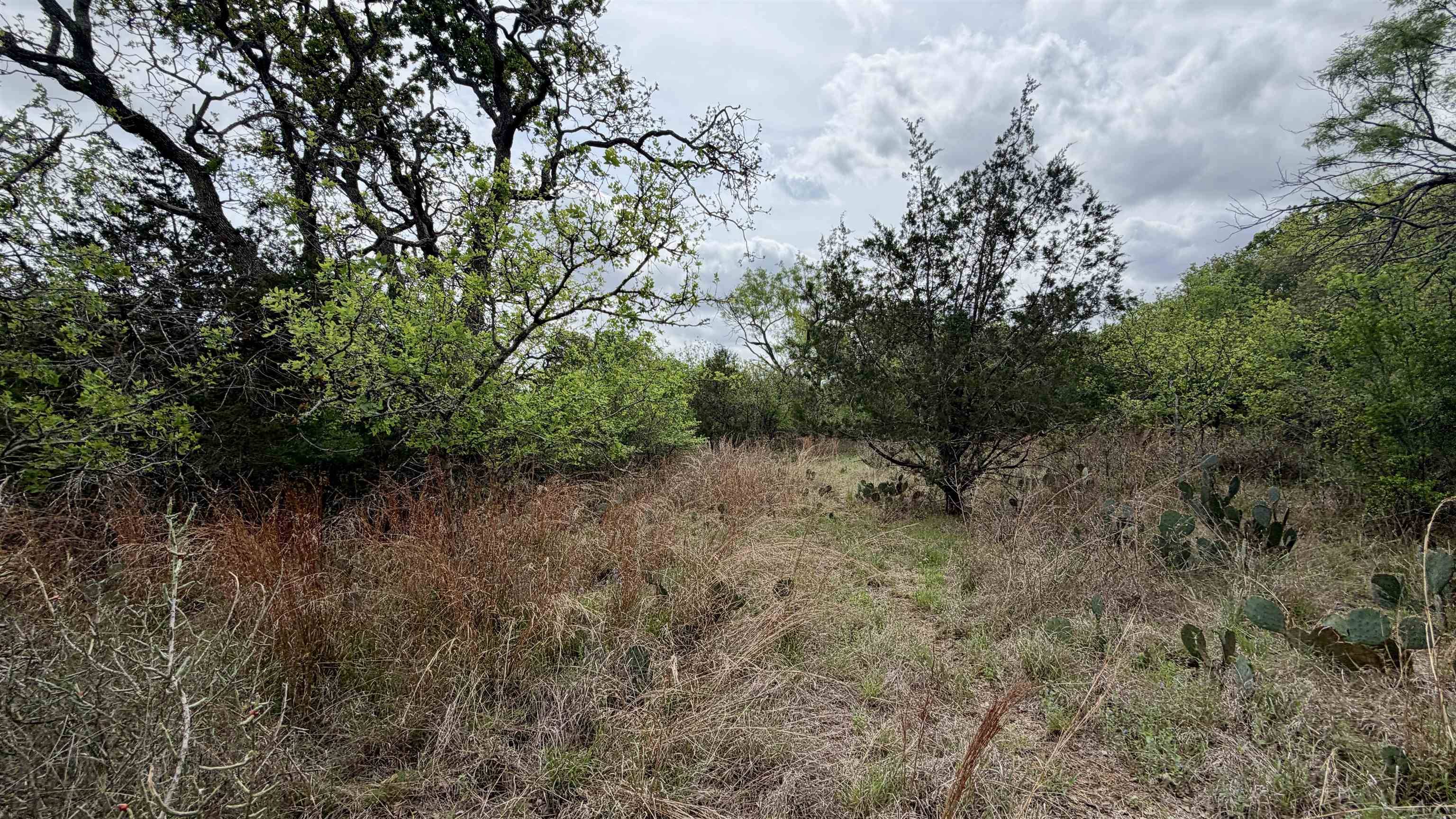 Lot 117 &142 Ridgemont & Brent, Kingsland, TX 78639