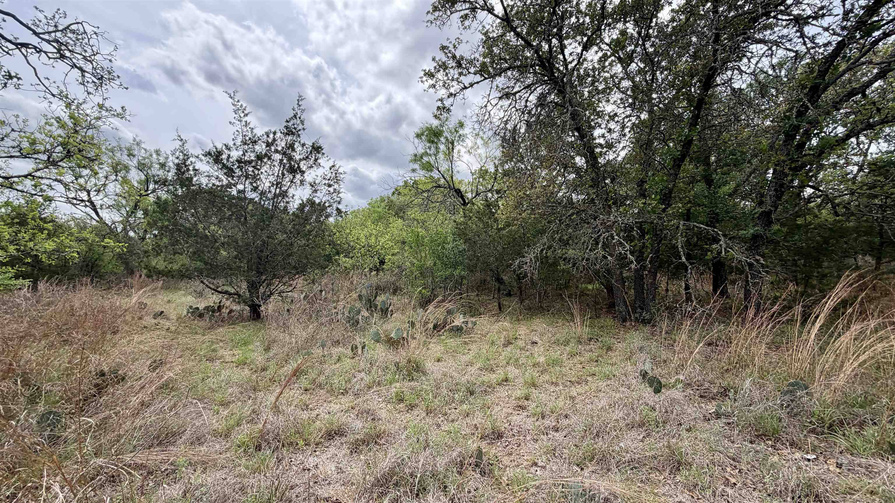 Lot 117 &142 Ridgemont & Brent, Kingsland, TX 78639