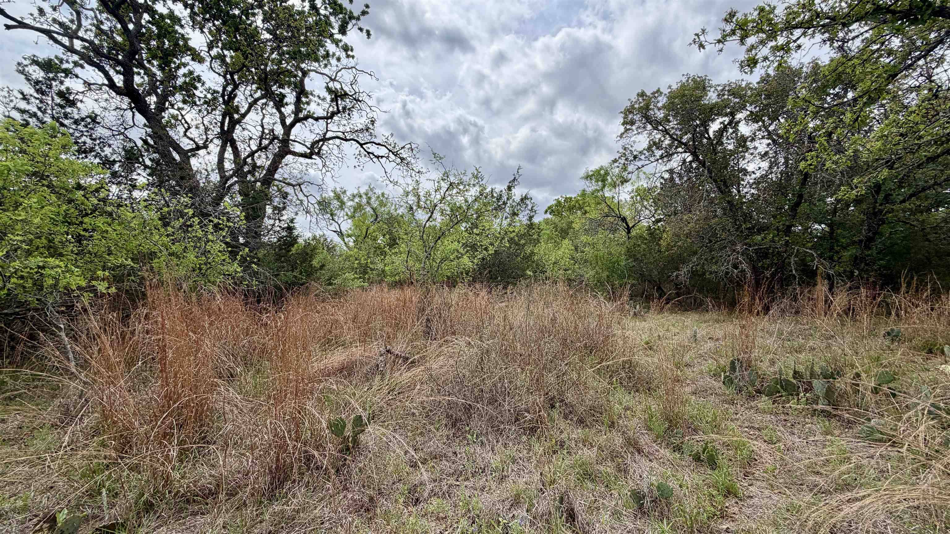 Lot 117 &142 Ridgemont & Brent, Kingsland, TX 78639
