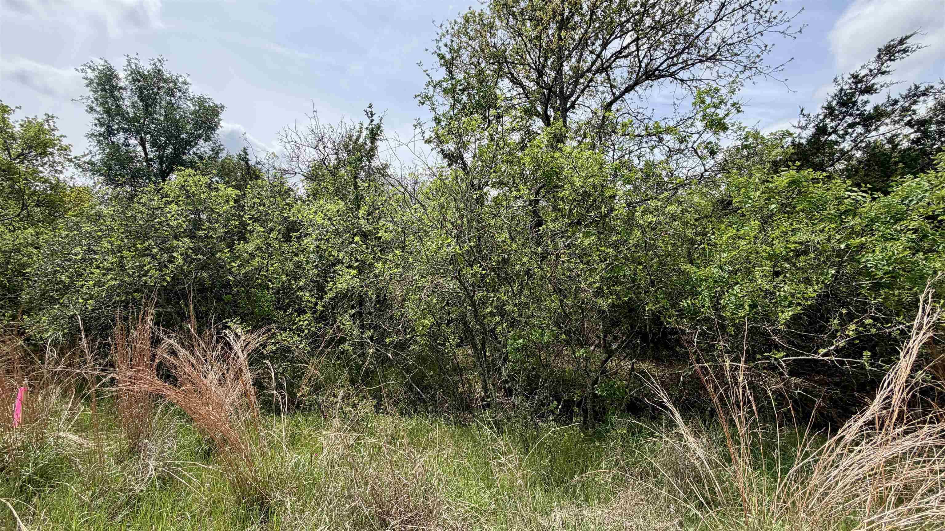 Lot 119 & 118 Ridgemont, Kingsland, TX 78639