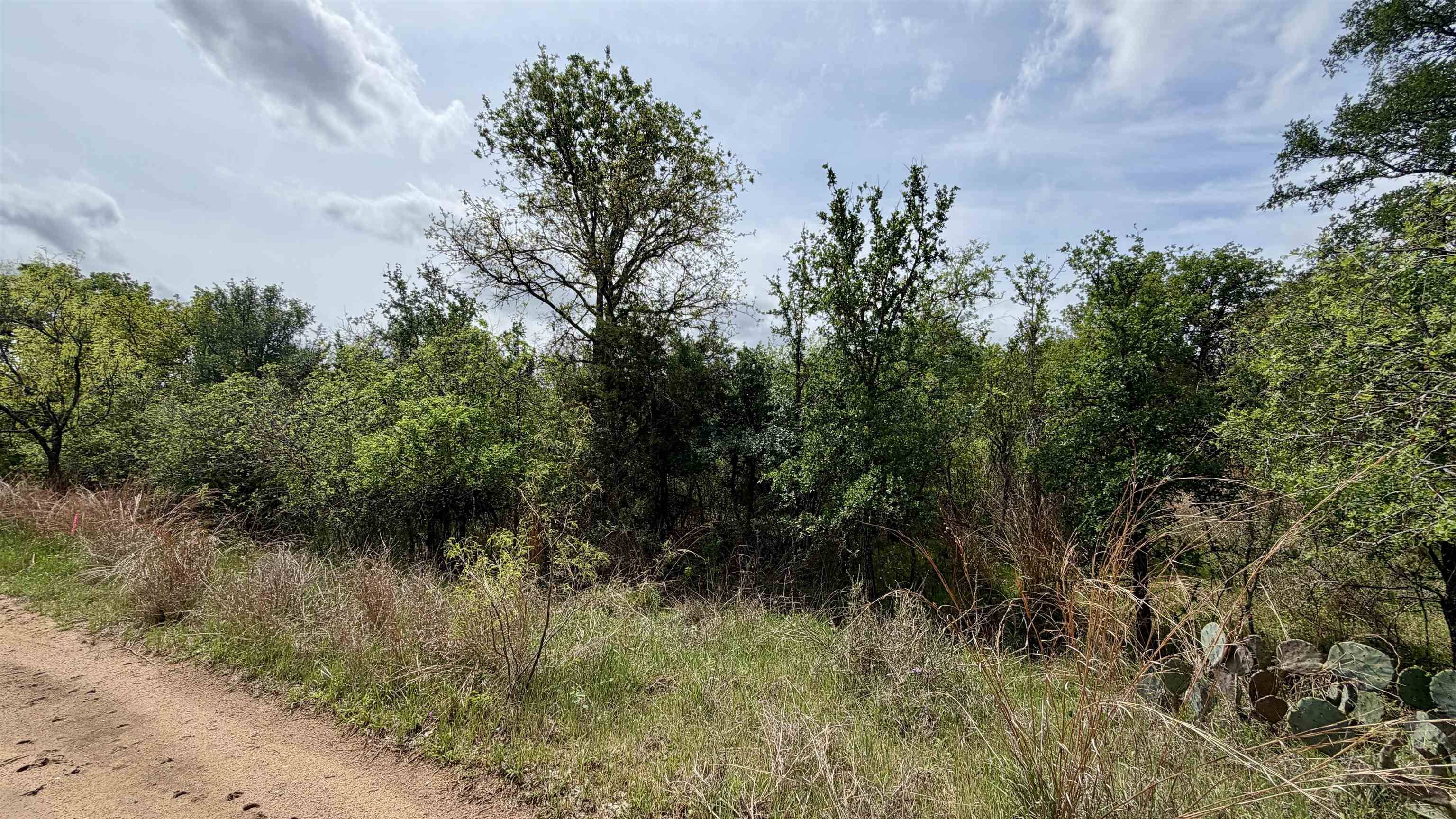 Lot 119 & 118 Ridgemont, Kingsland, TX 78639