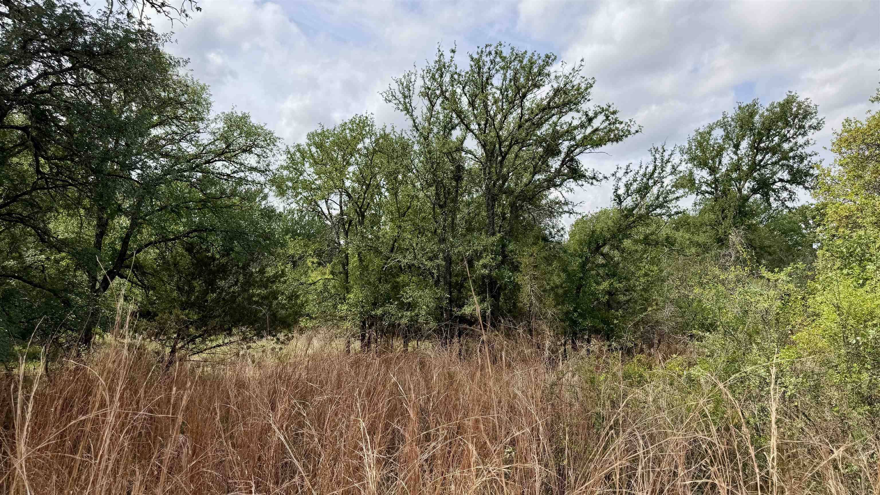 Lot 119 & 118 Ridgemont, Kingsland, TX 78639