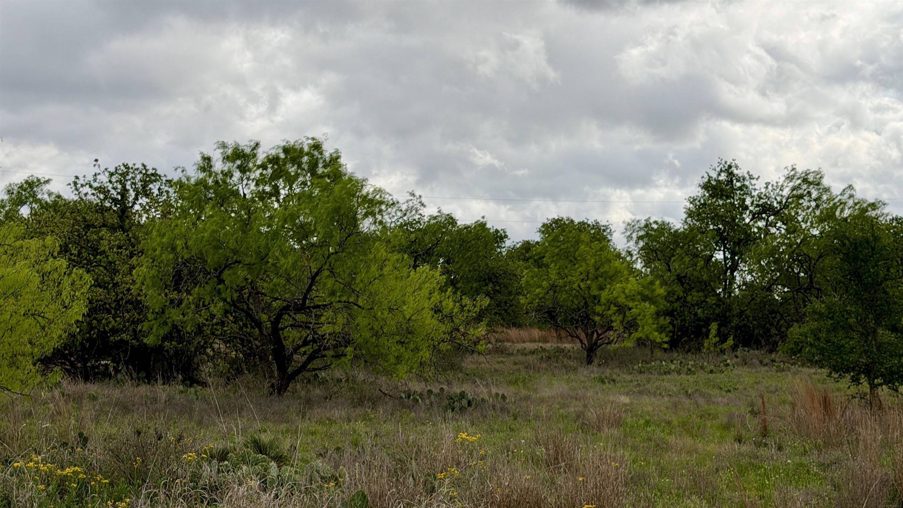 LT 129 Brent, Kingsland, TX 78639