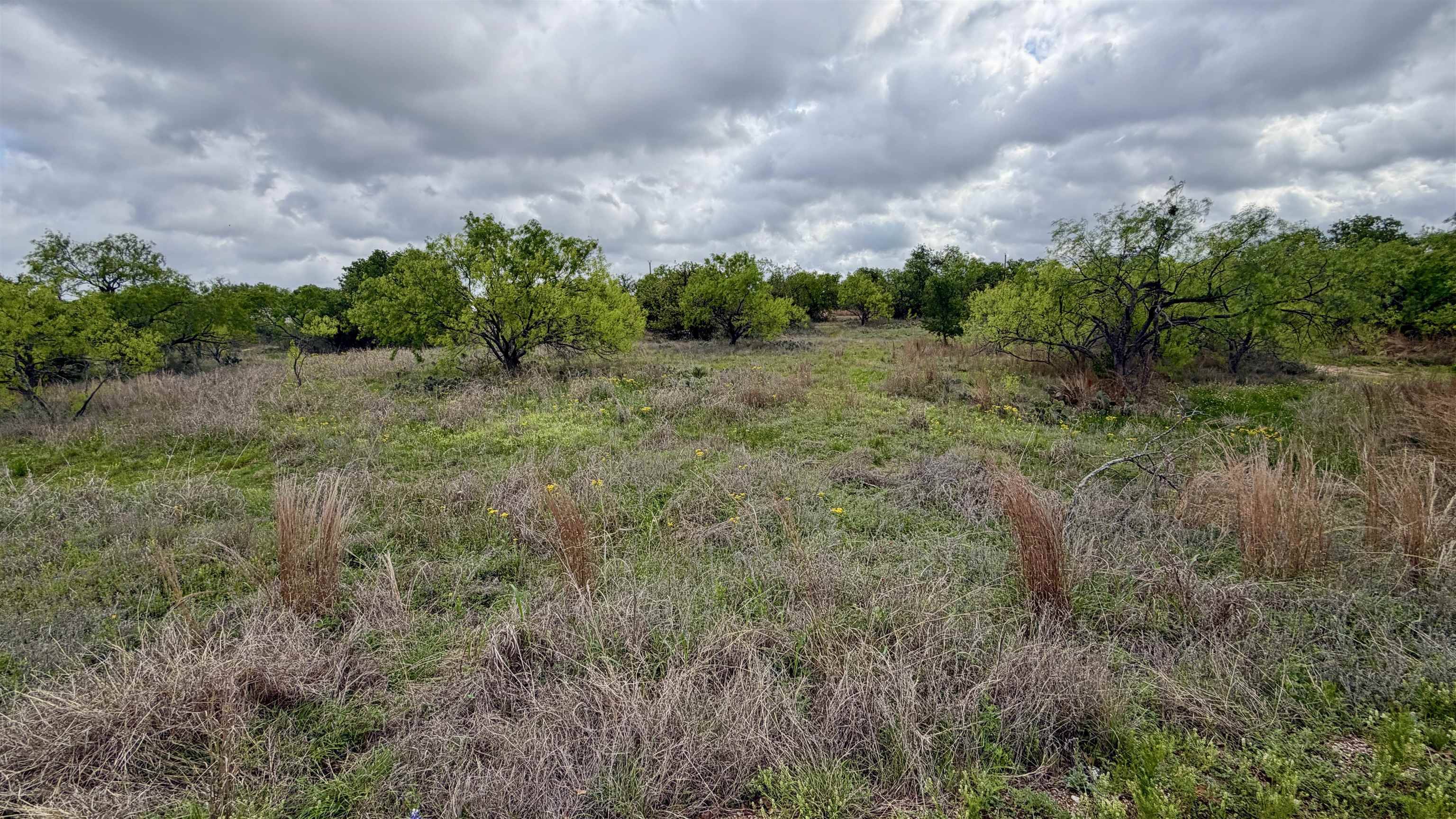 LT 129 Brent, Kingsland, TX 78639