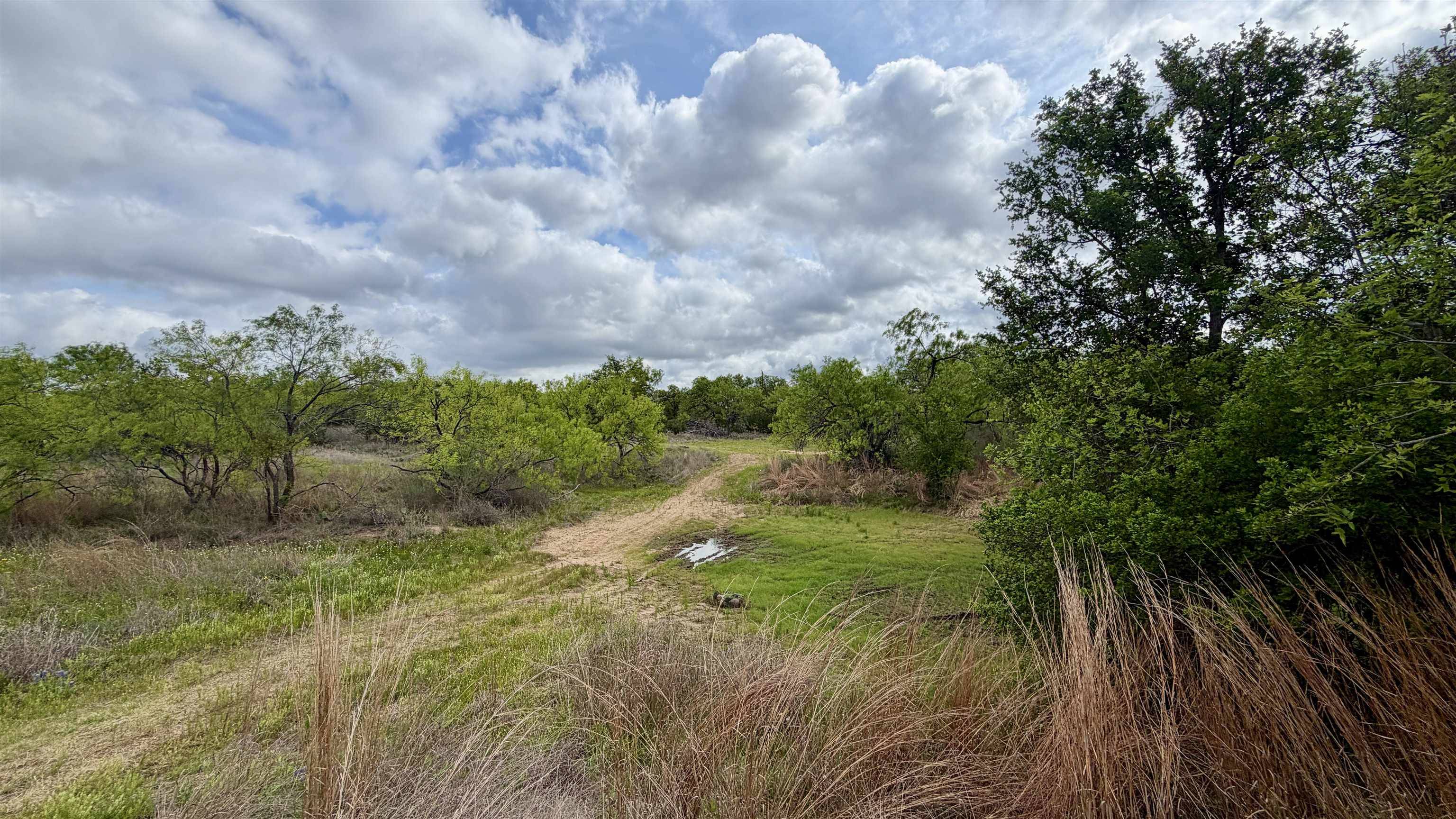 LT 130 Brent, Kingsland, TX 78639