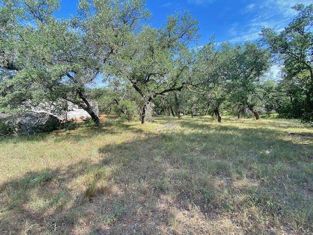 Lt W35049 Apache Tears, Horseshoe Bay, TX 78657