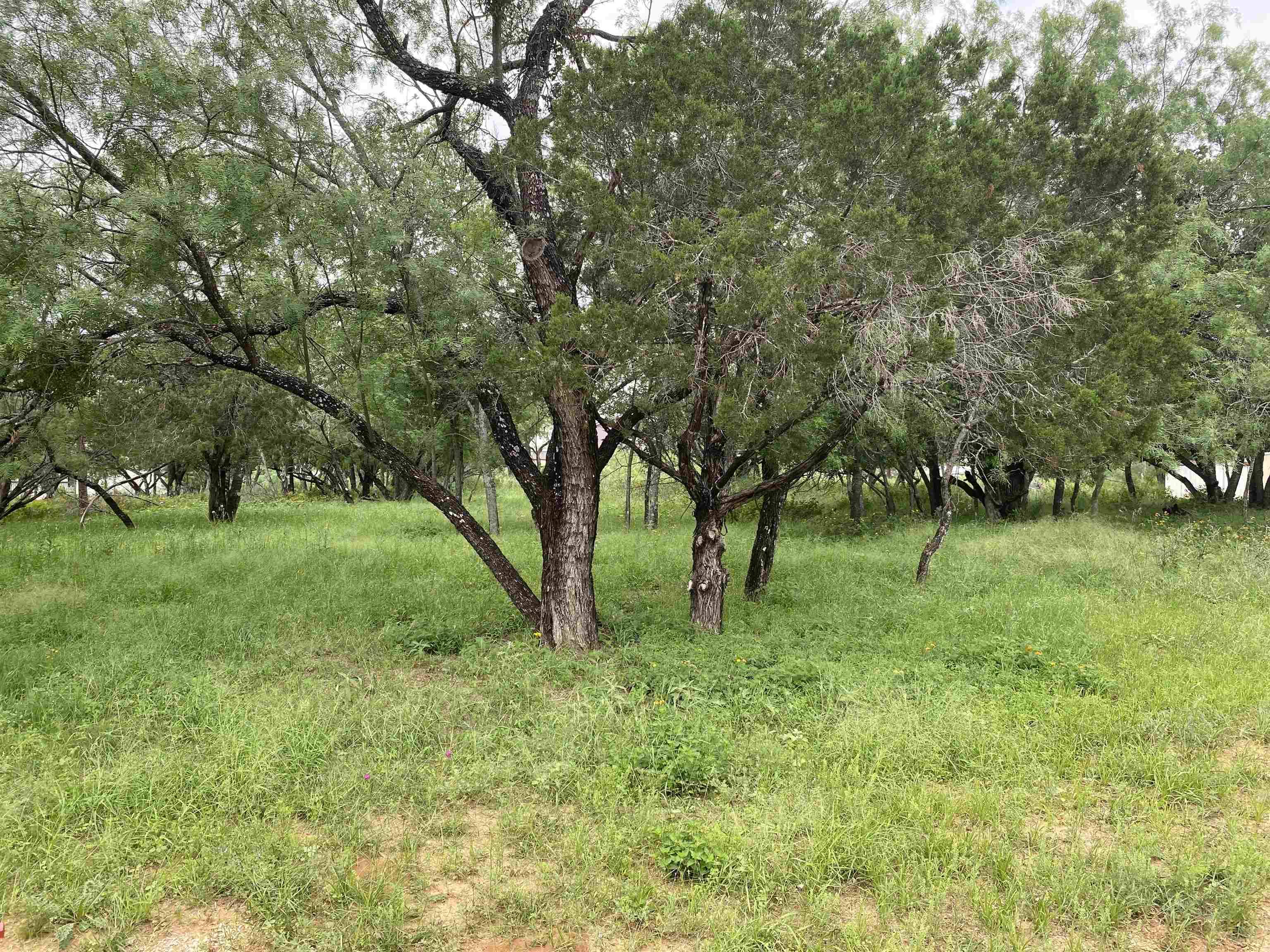 TBD Driftwood LN, Cottonwood Shores, TX 78657