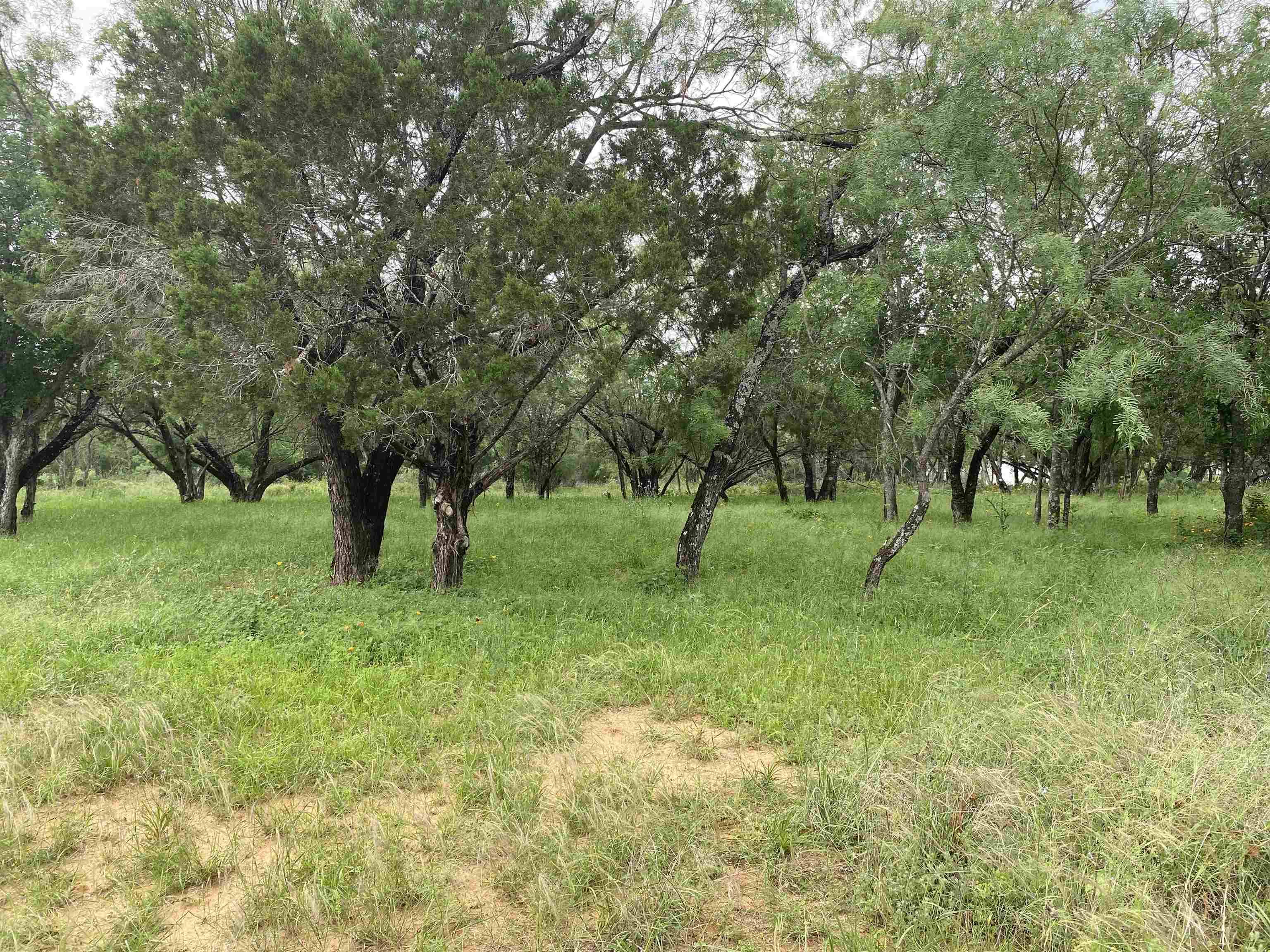 TBD Driftwood LN, Cottonwood Shores, TX 78657