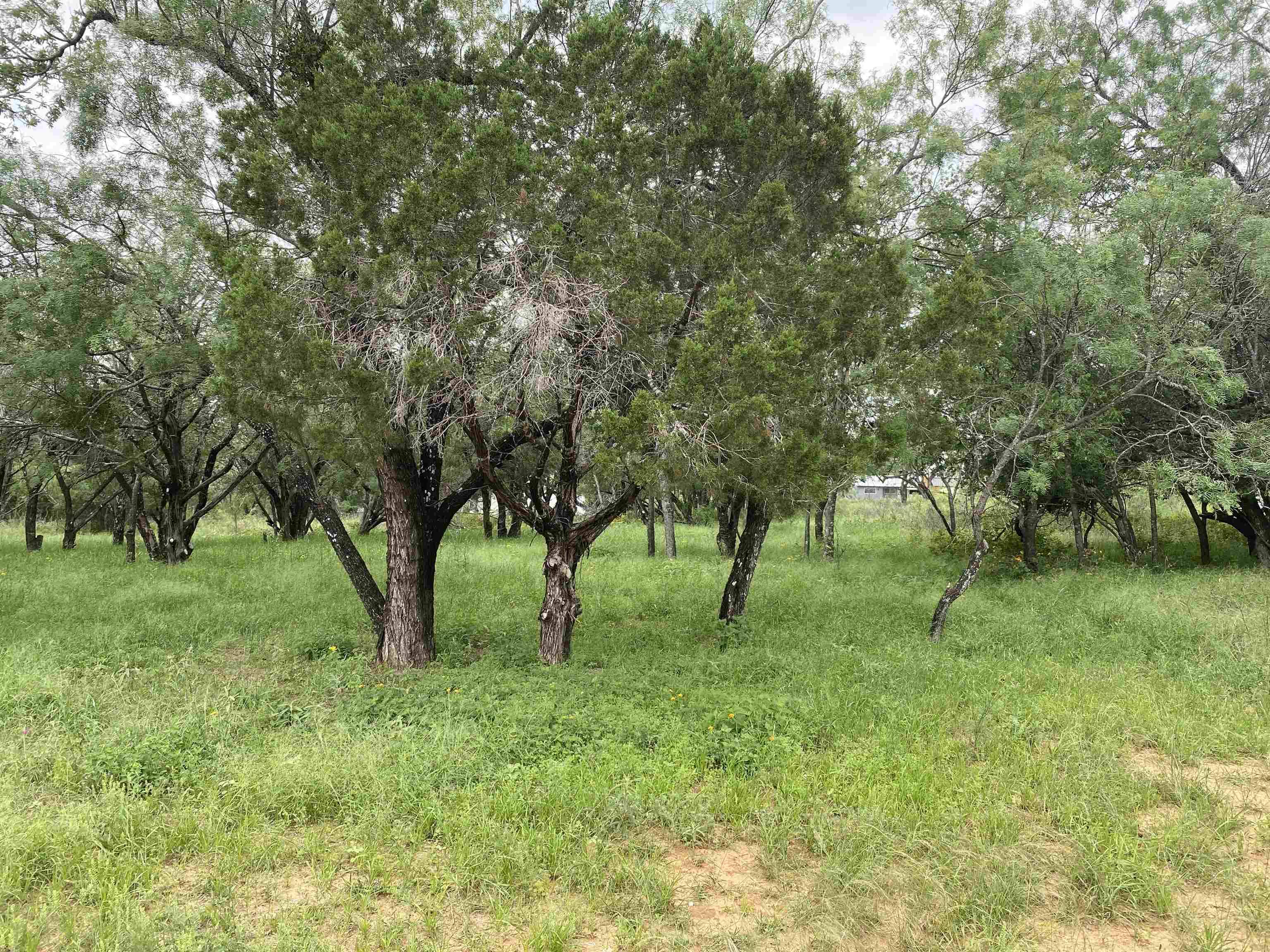 TBD Driftwood LN, Cottonwood Shores, TX 78657