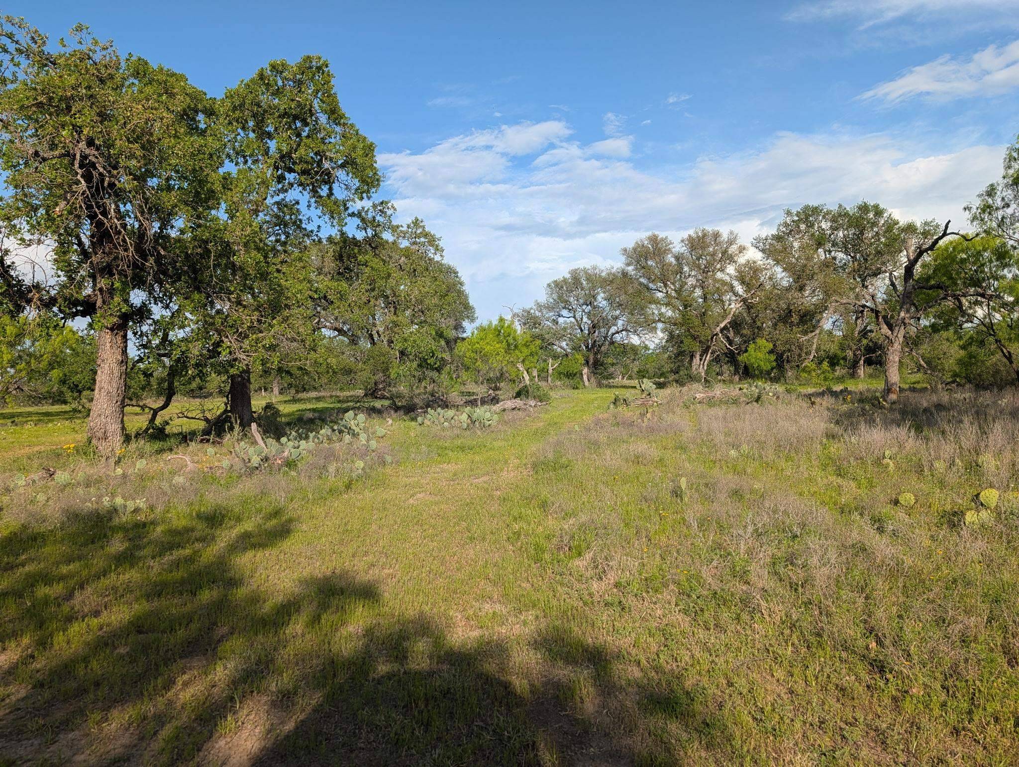 TBD FM 1980, Marble Falls, TX 78654